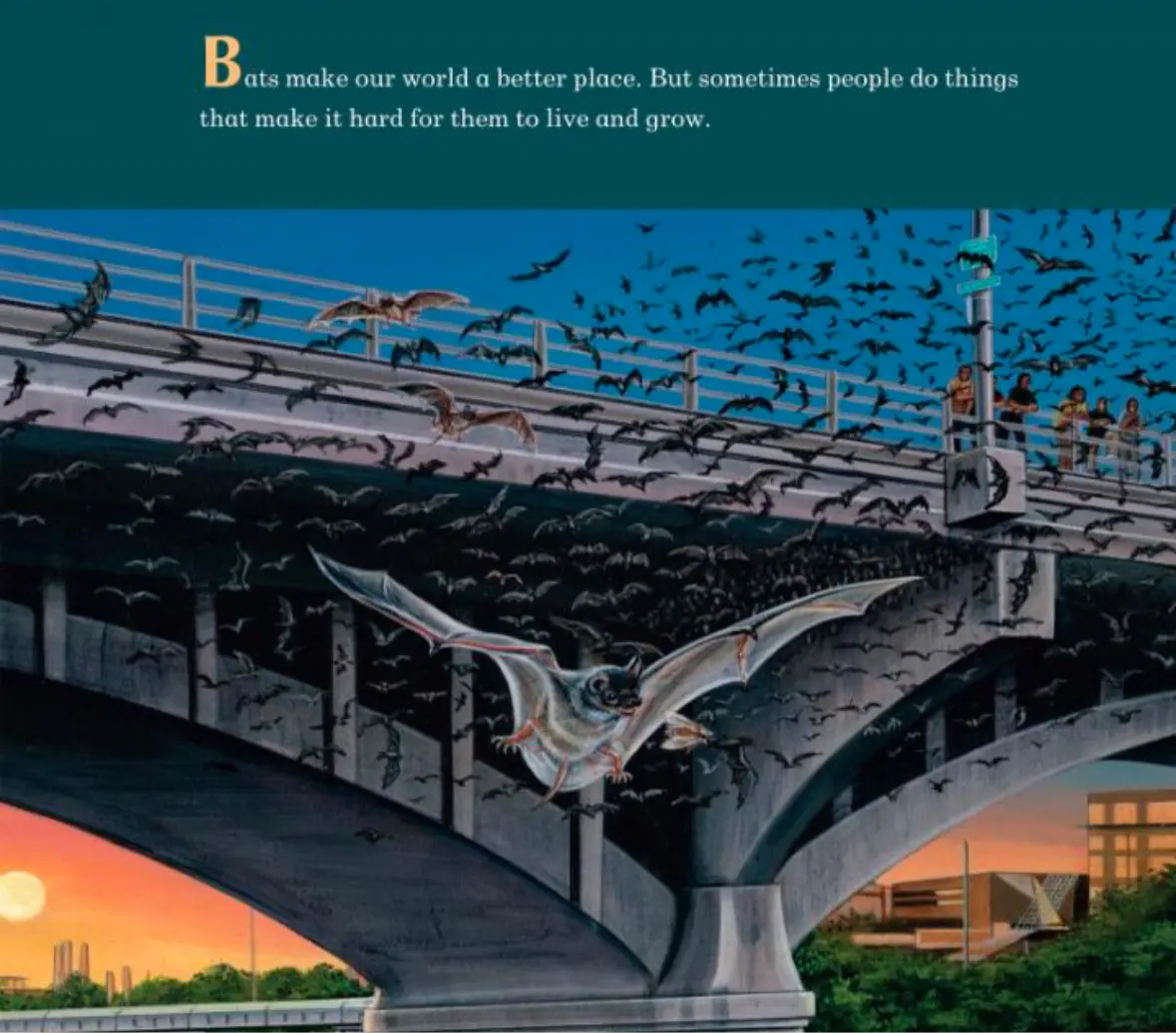 A Place For Bats by Melissa Stewart - Alder & Alouette
