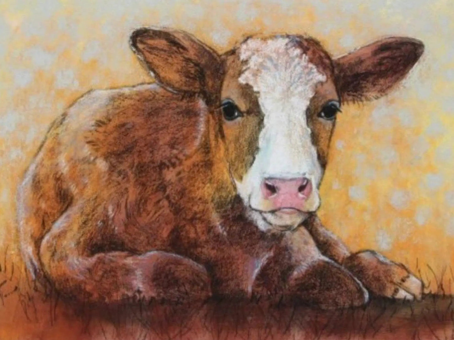 Postcard of a brown and white calf laying in the grass on a yellow sunshine background