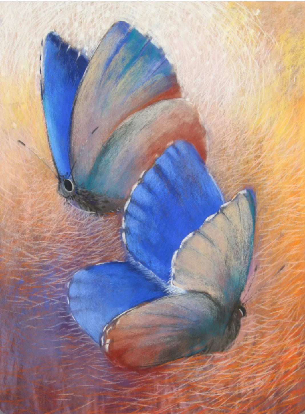 Two butterflies with blue wings on a textured orange and yellow background