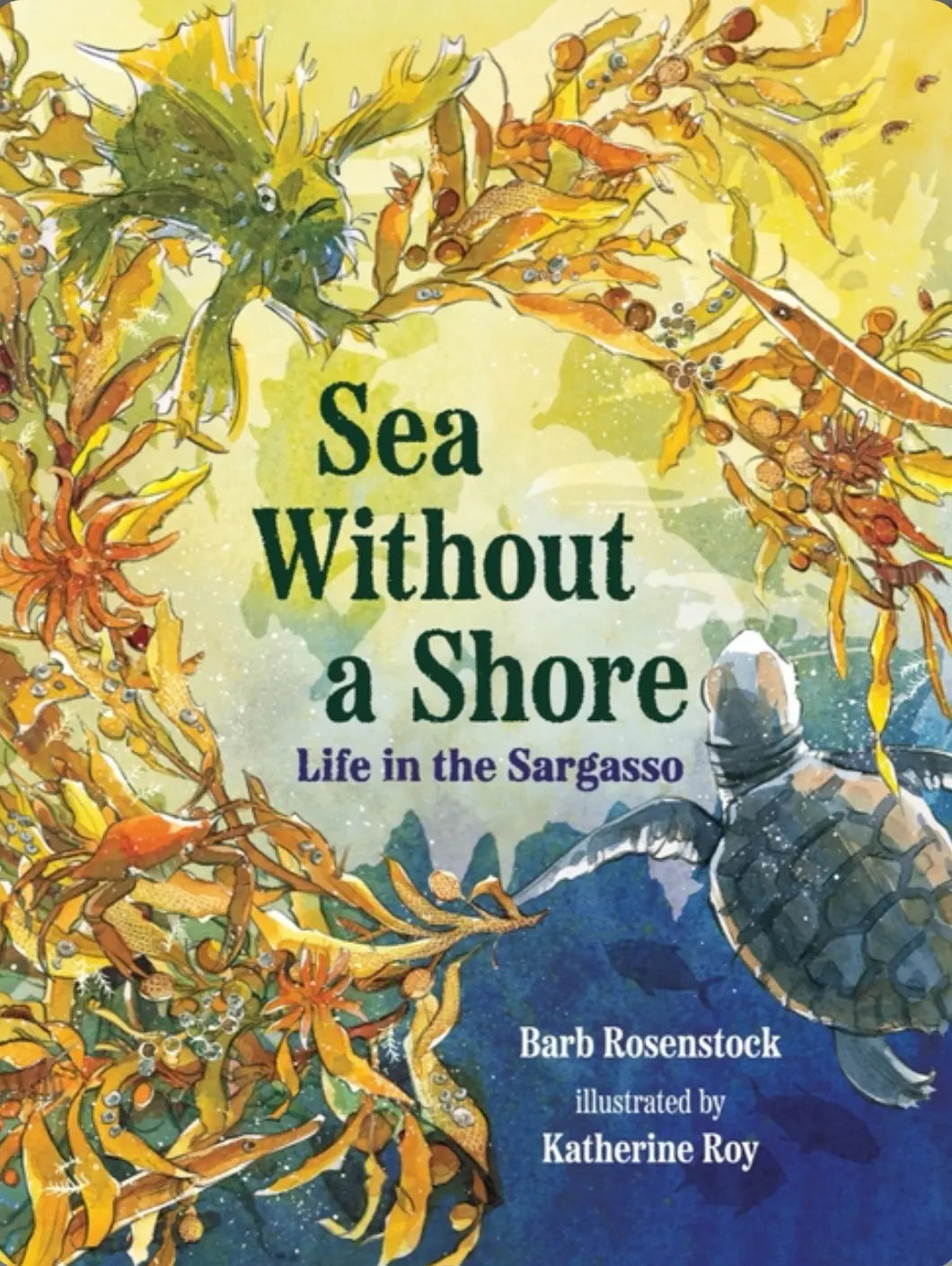 Sea Without a Shore by Barb Rosenstock - Alder & Alouette