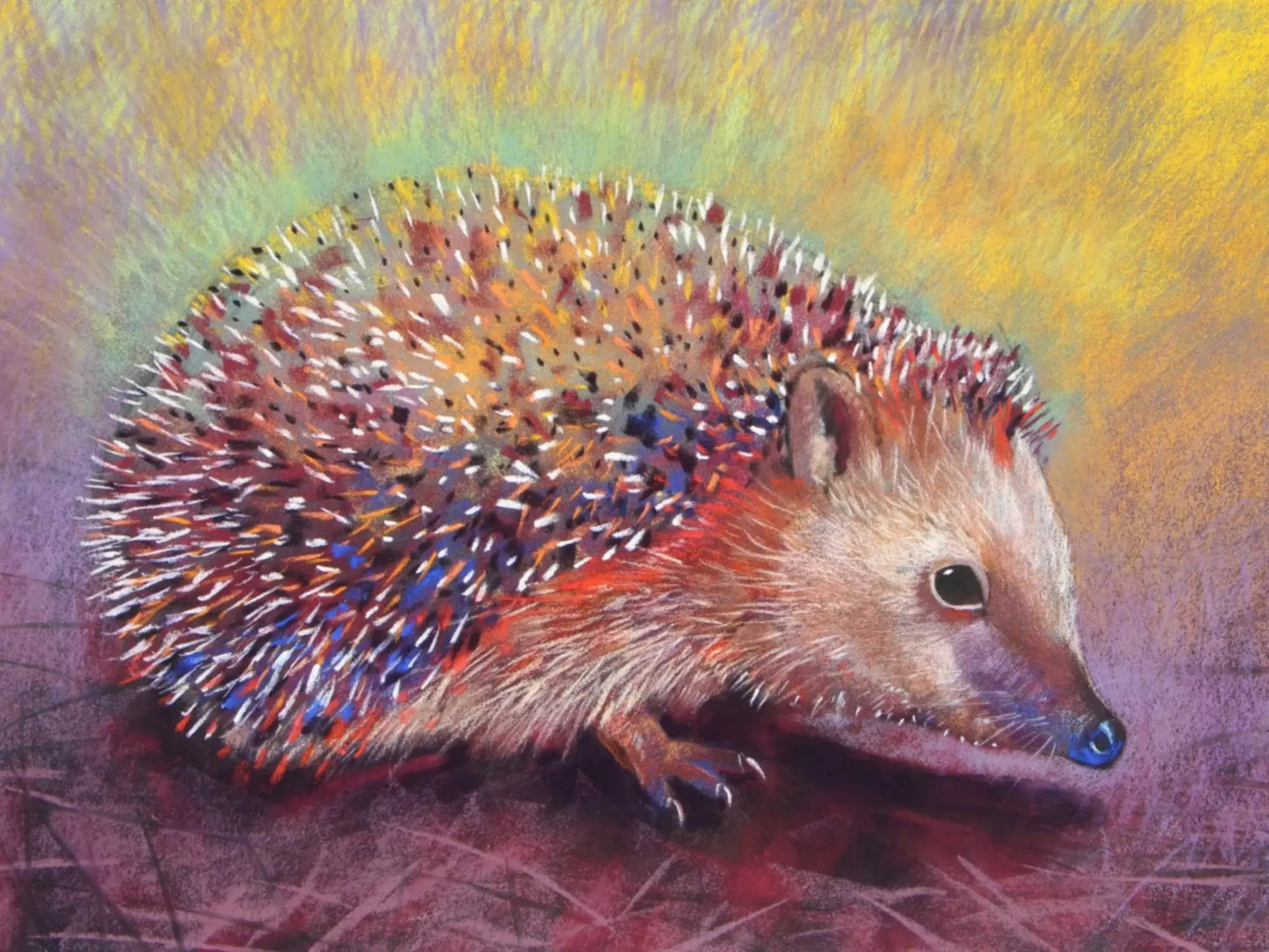 Colorful illustration of a hedgehog postcard on a multicolored background