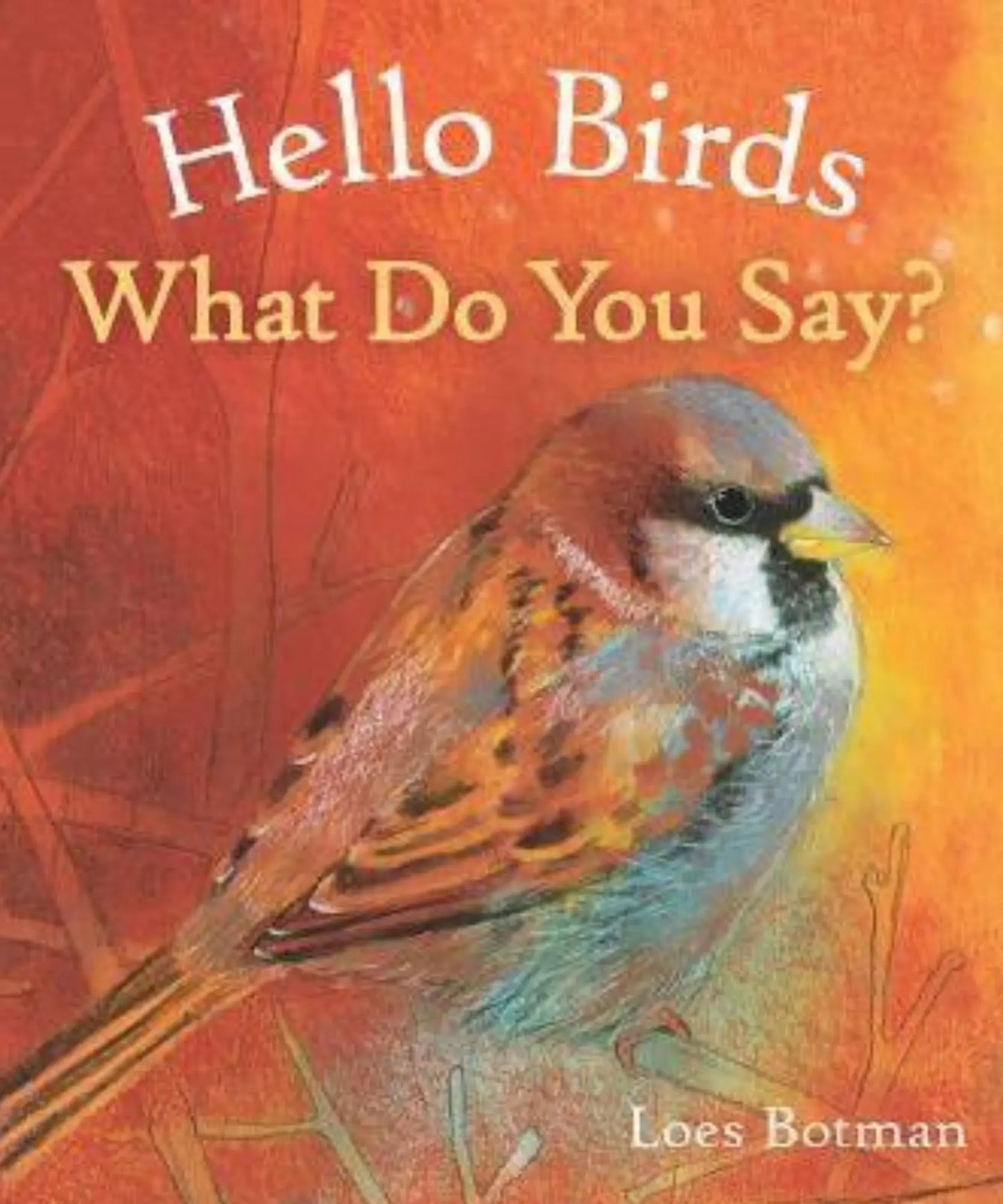 Book cover of 'Hello Birds, What Do You Say?' with a bird illustration on an orange and red background.