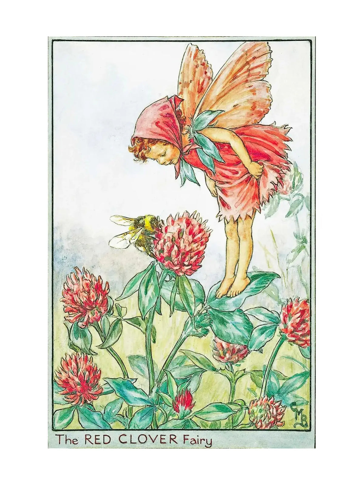 Red clover flower fairy postcard by Cicely Mary Barker on a white background
