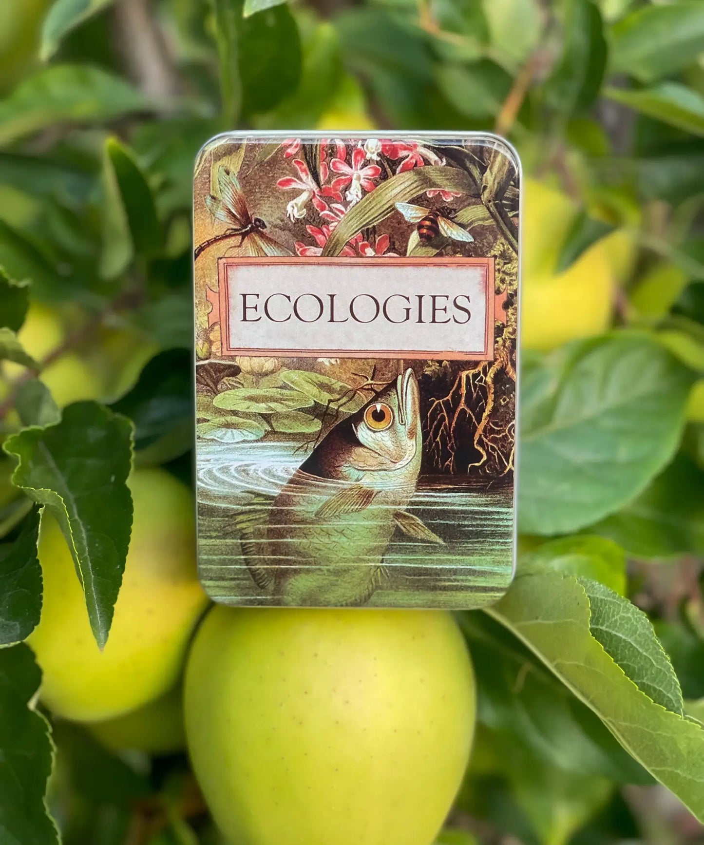 Ecologies metal card game storage tin with Archerfish artwork displayed among green apples