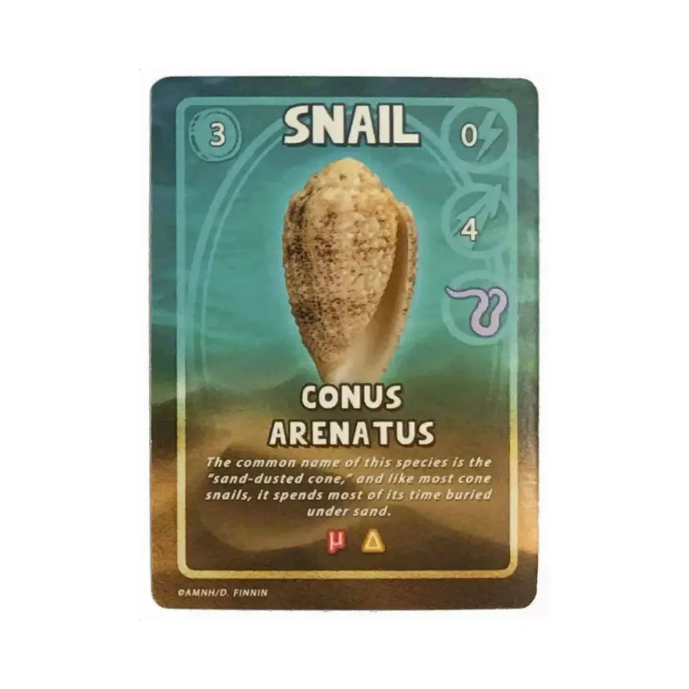 Card featuring a conus arenatus snail with text and icons on a green background