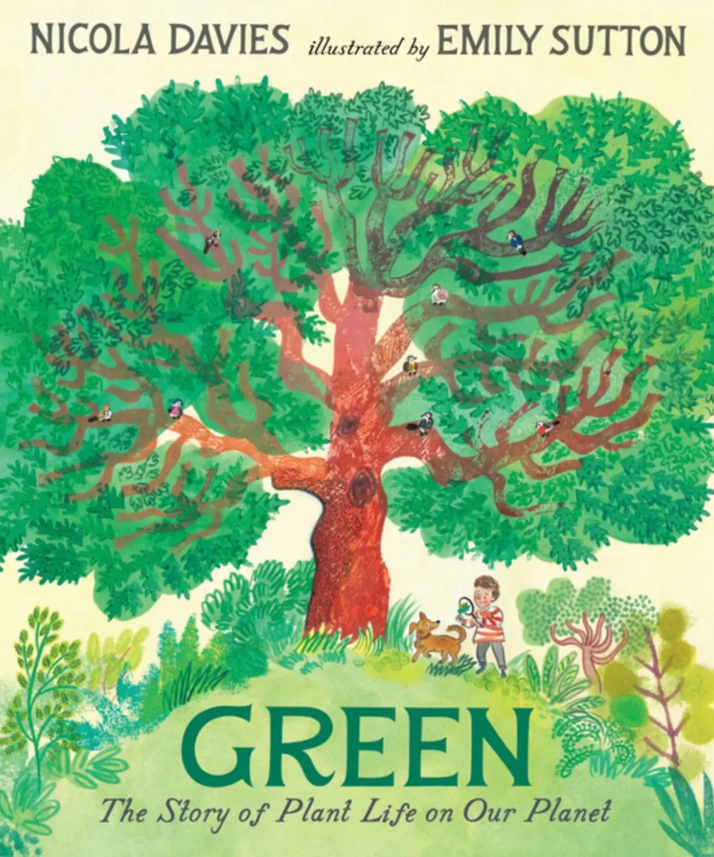 Green – A Poetic Nature Picture Book by Nicola Davies