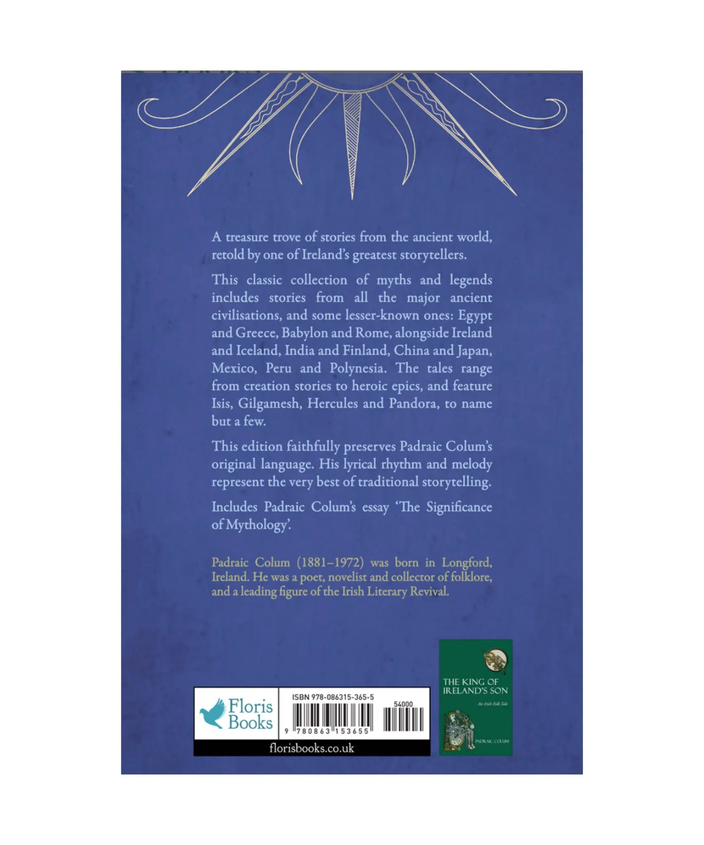 Book back cover with text and a decorative element on a blue background