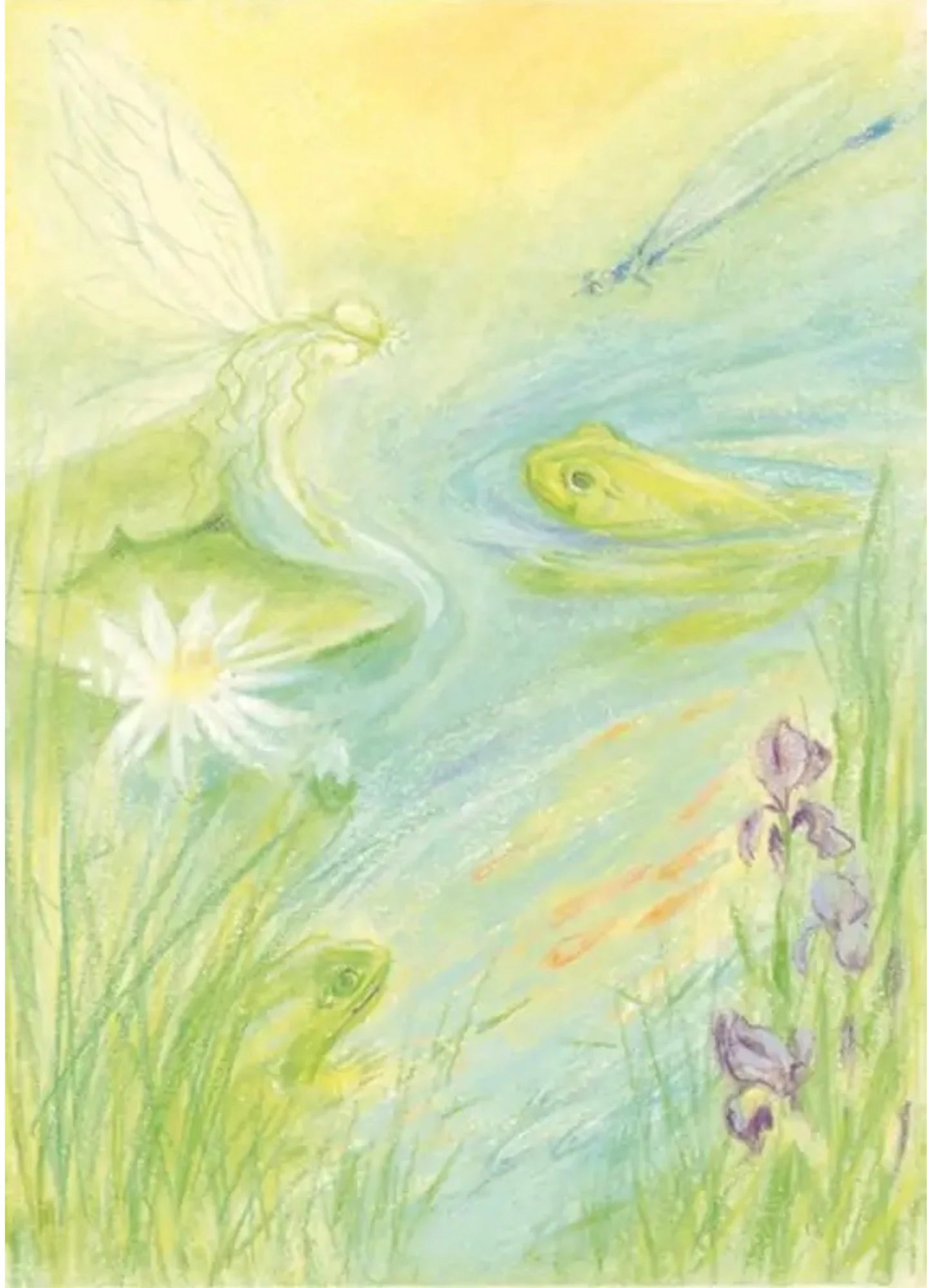 Watercolor illustration of a pond scene with fairy, flowers, frogs, and dragonflies.