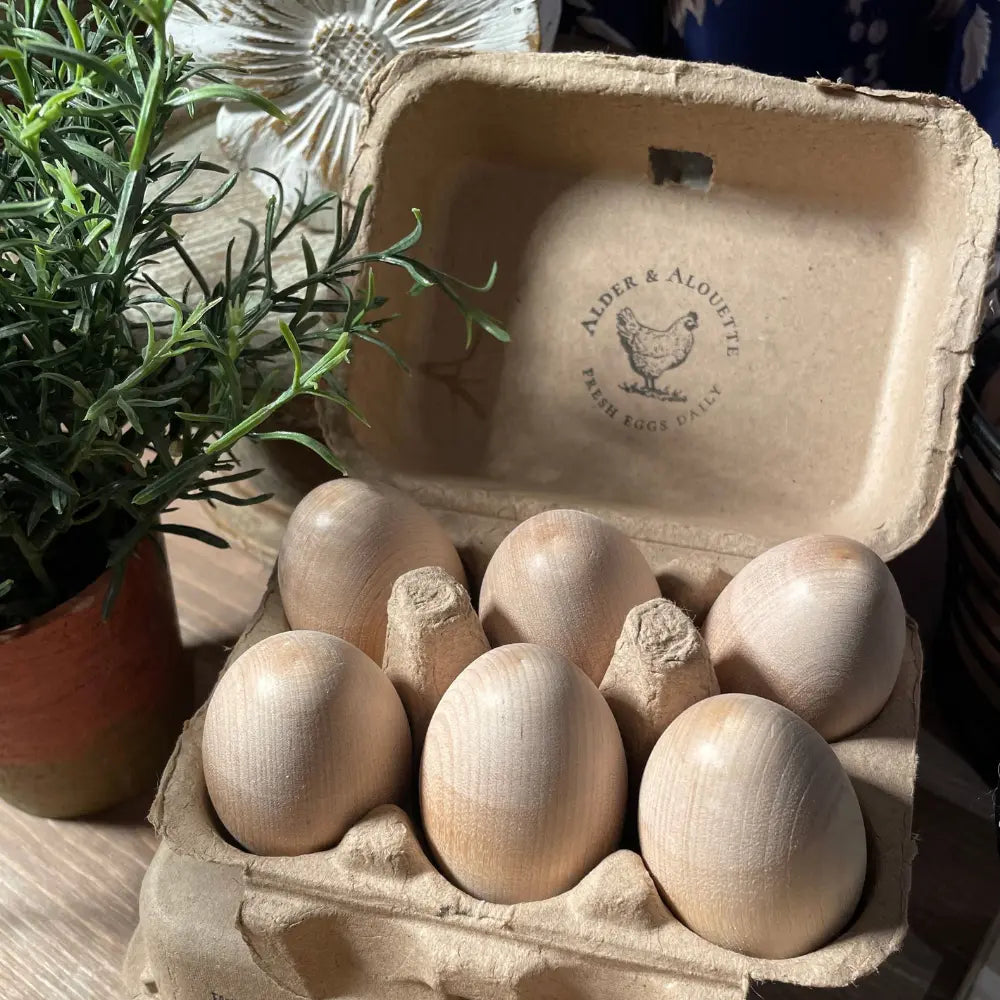 Cardboard egg carton with wooden eggs on a wooden surface with a plant in the background