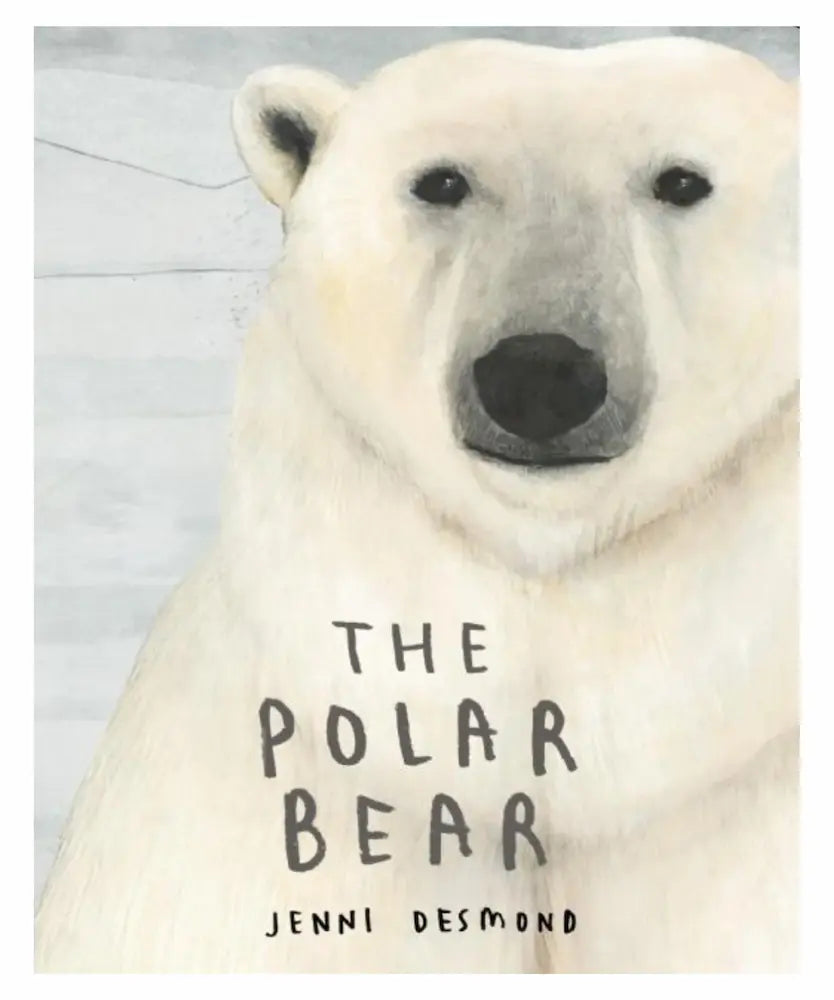 Book cover of The Polar Bear by Jenni Desmond of a painted Polar Bear looking straight on at the viewer