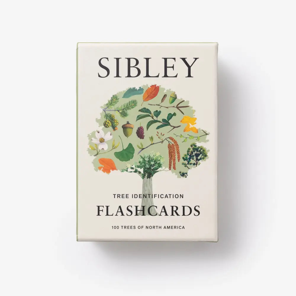 Box of Sibley Tree Identification Flashcards with a tree illustration on a white background