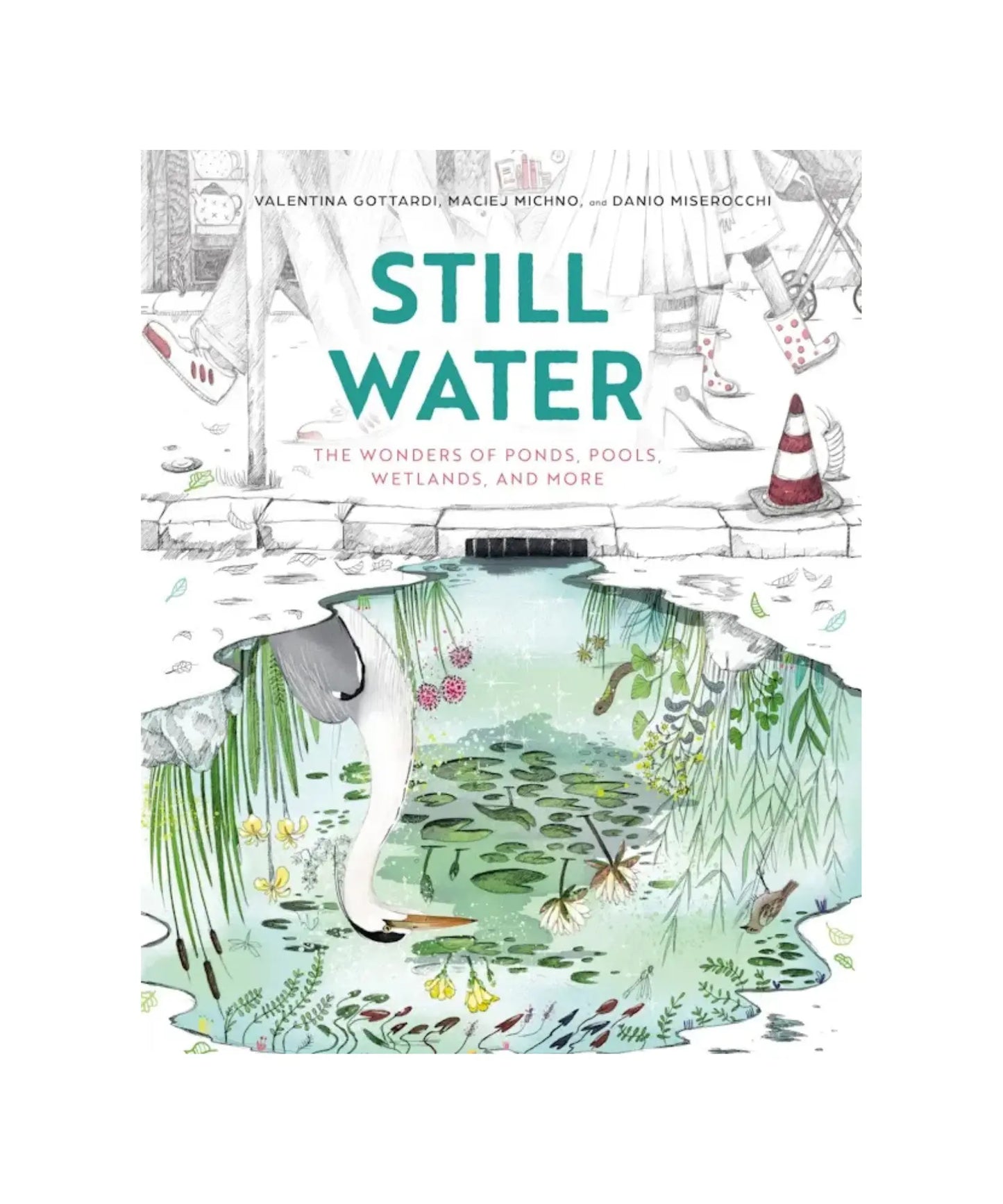 Still Water – Illustrated Science Book About Ponds, Wetlands & Ecosystems