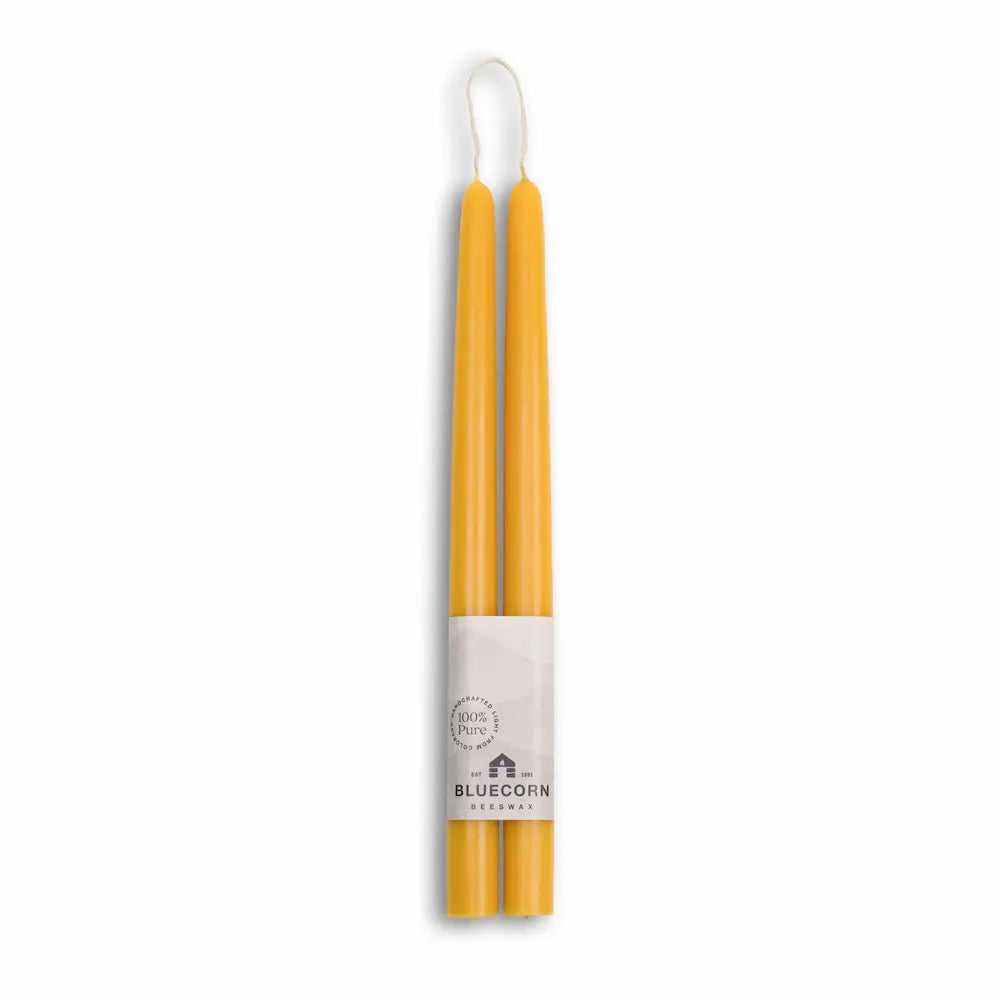 Two yellow candles in a white holder with 'Bluecorn' branding on a white background