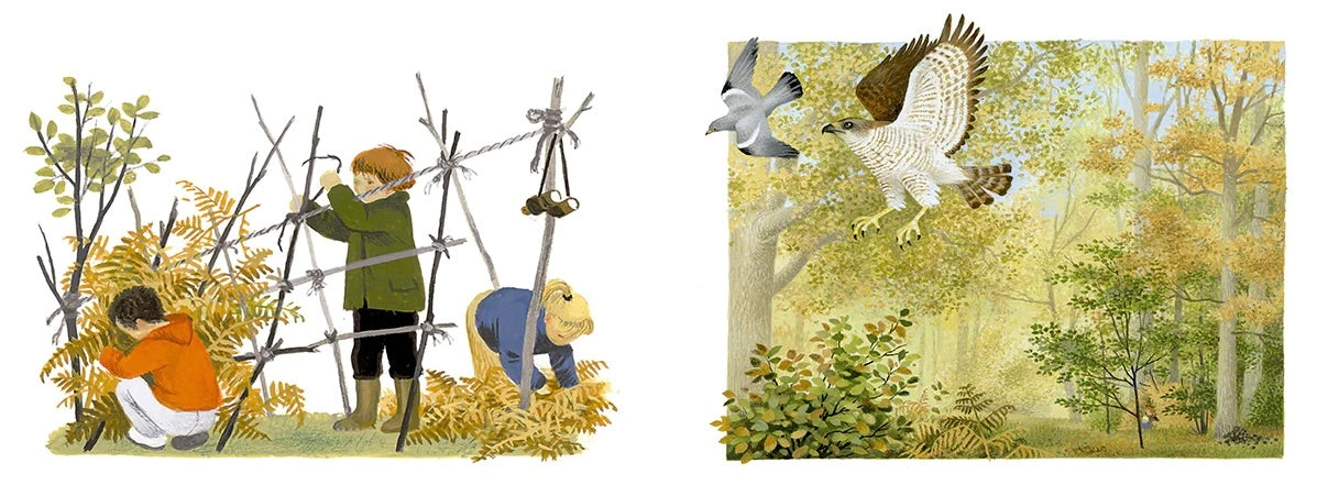 A Year Around the Great Oak Gerda Muller - Alder & Alouette