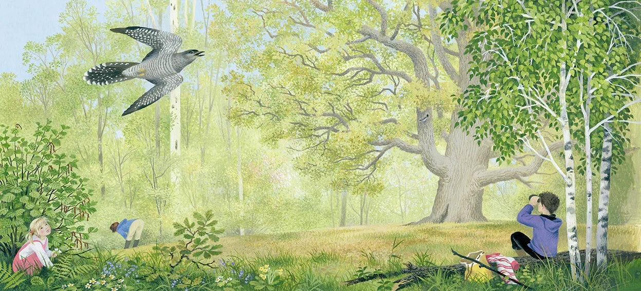 A Year Around the Great Oak Gerda Muller - Alder & Alouette