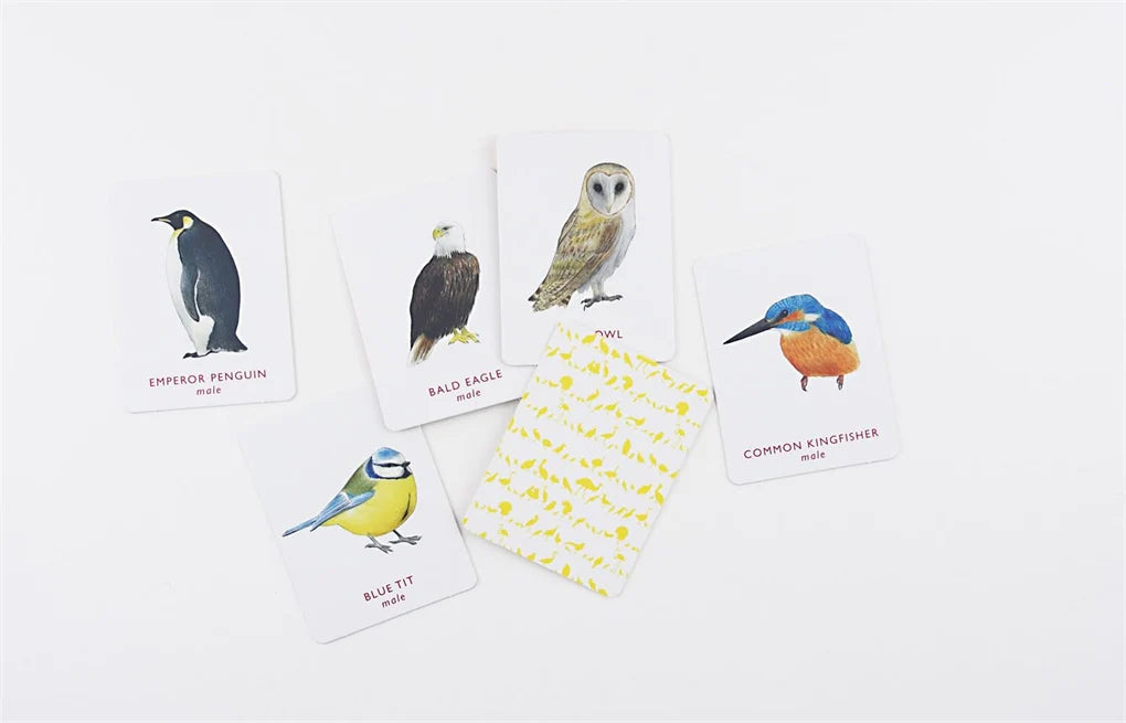Match A Pair of Birds | Nature Game 5 different bird cards