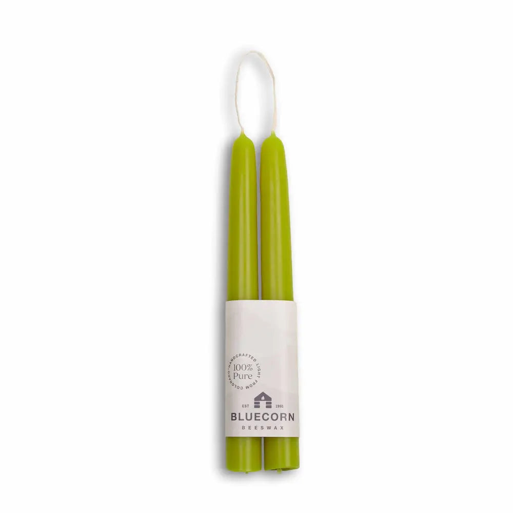 Two green candles in a white holder with 'Bluecorn' branding on a white background