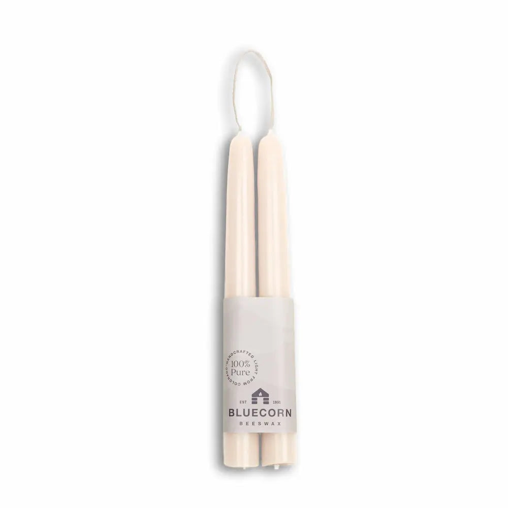 Two beige candles in a white holder with 'Bluecorn' branding on a white background
