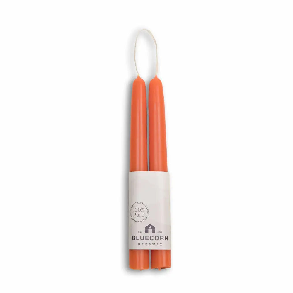 Two orange candles in a white holder with 'Bluecorn' branding on a white background