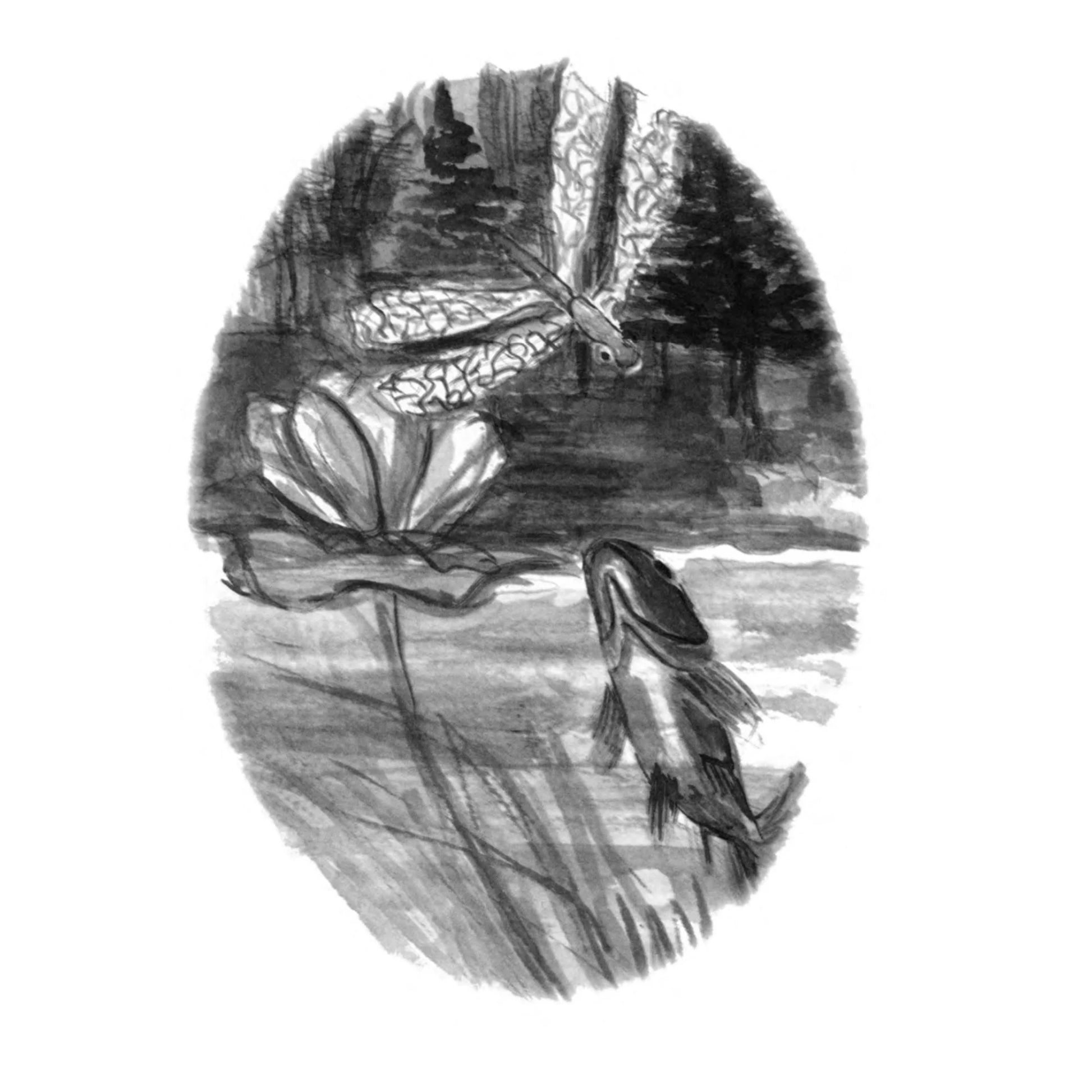 Liputto: Stories of Gnomes & Trolls by Jakob Streit - Alder & Alouette