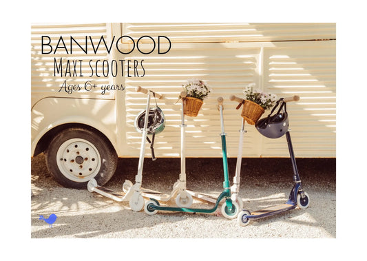 Banwood Two Wheel Scooter | Maxi Scooter - Alder & Alouette