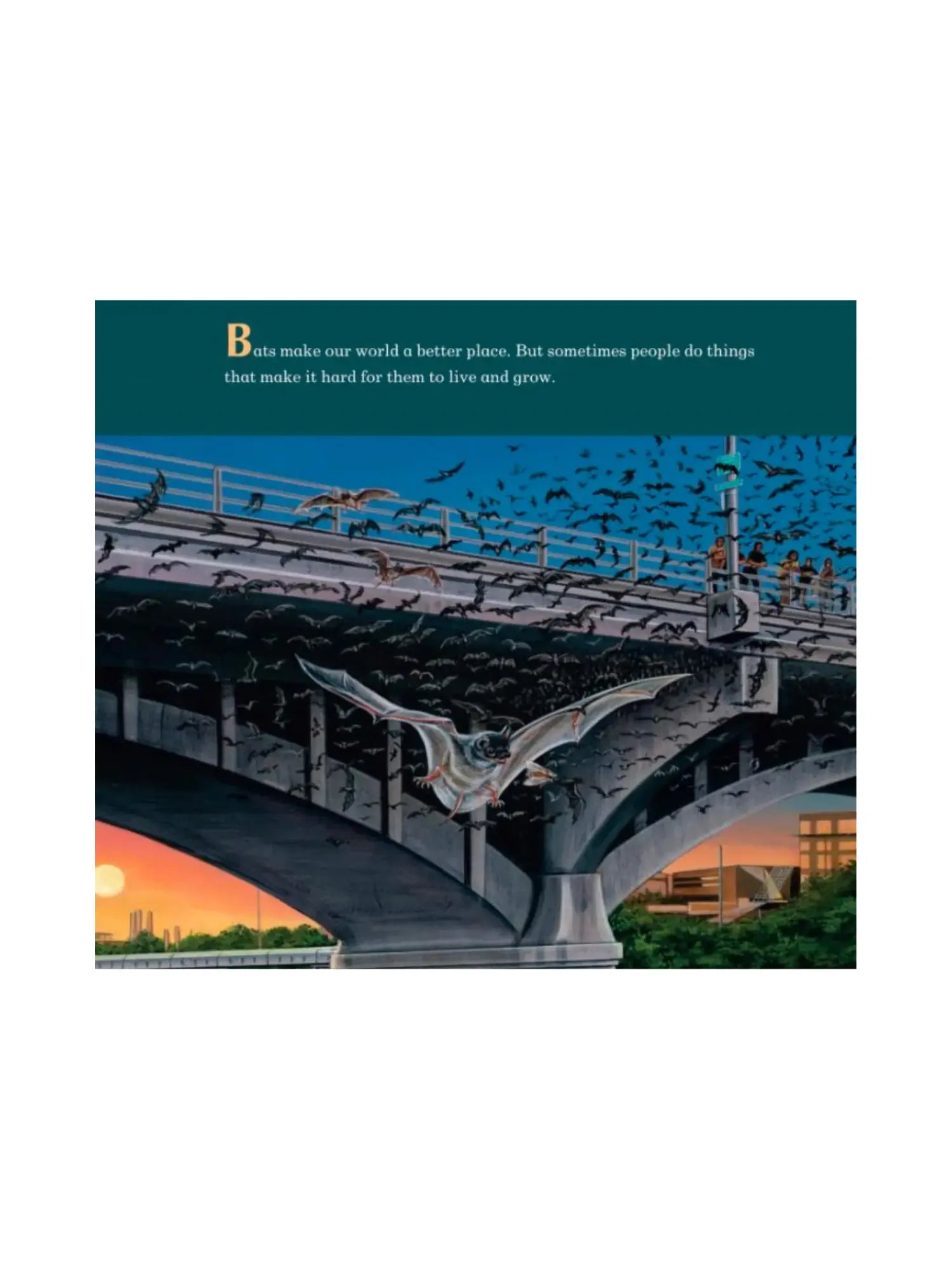 A Place For Bats by Melissa Stewart - Alder & Alouette