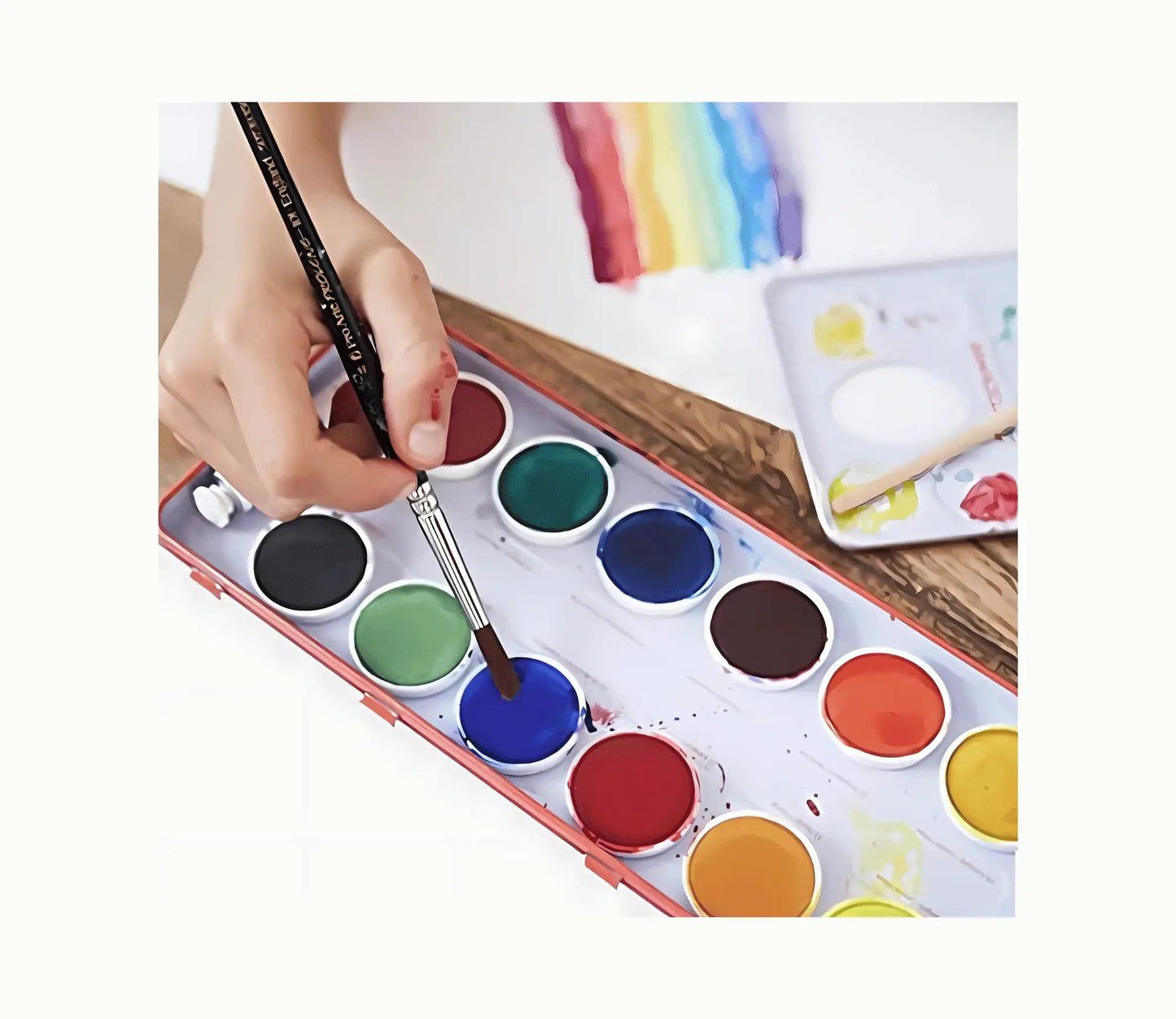 Stockmar Opaque Paint 12 Colors with Palette, brush - Alder & Alouette