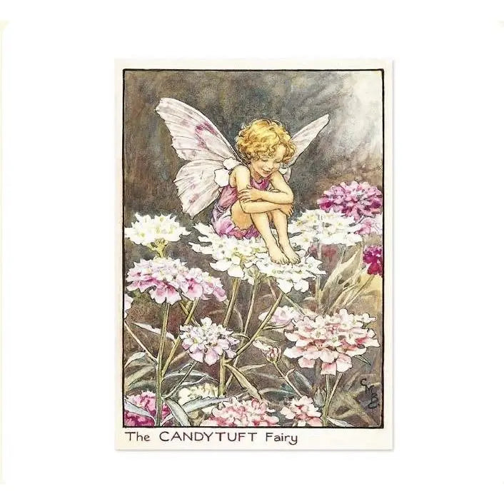 The Candytuft Flower Fairy Postcard - Alder & Alouette