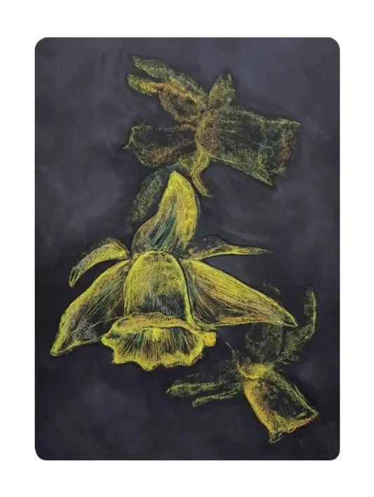 Waldorf Chalk Art of Yellow Daffodils on a Blackboard Background