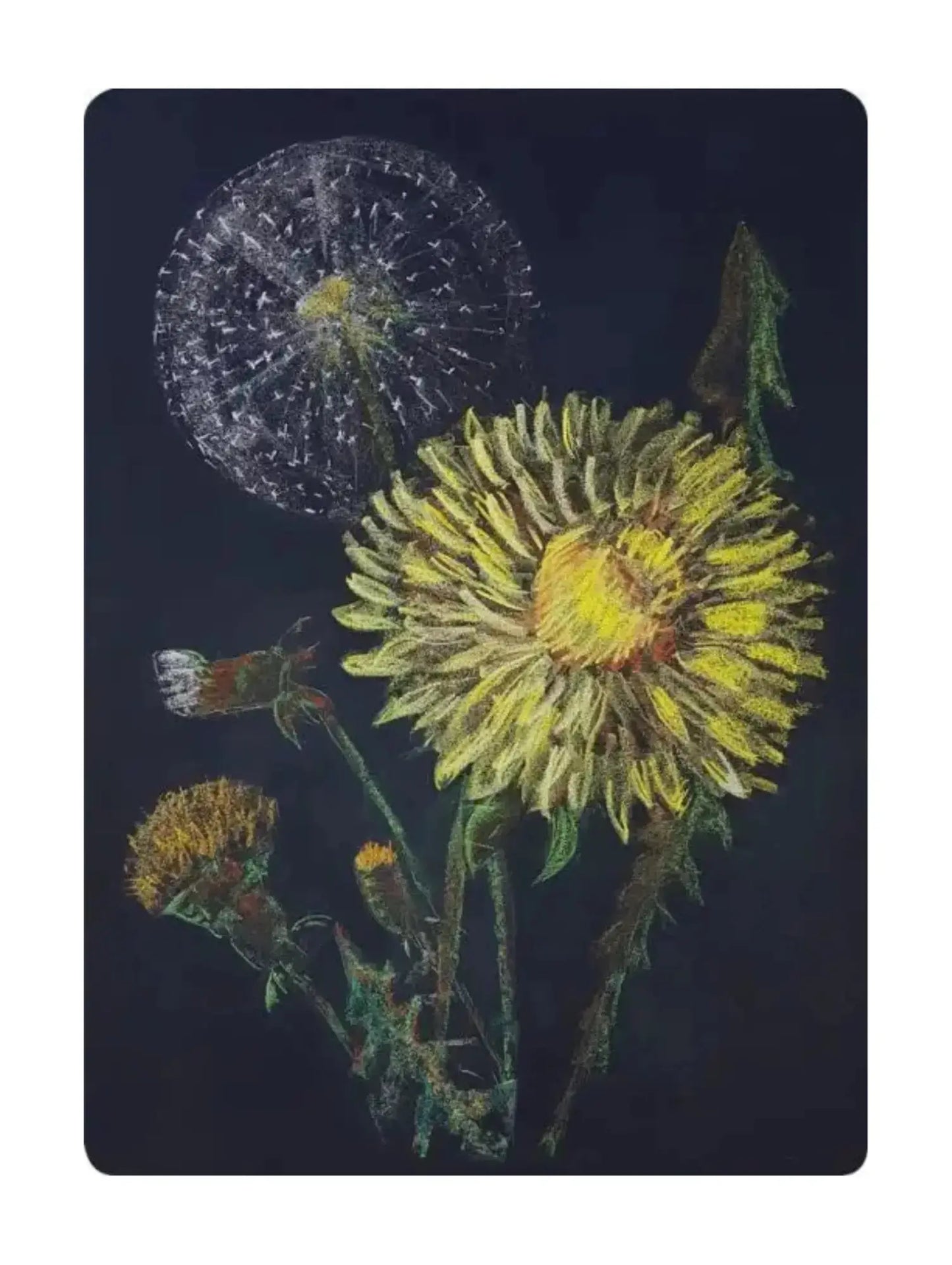 Illustration of dandelions on a dark background