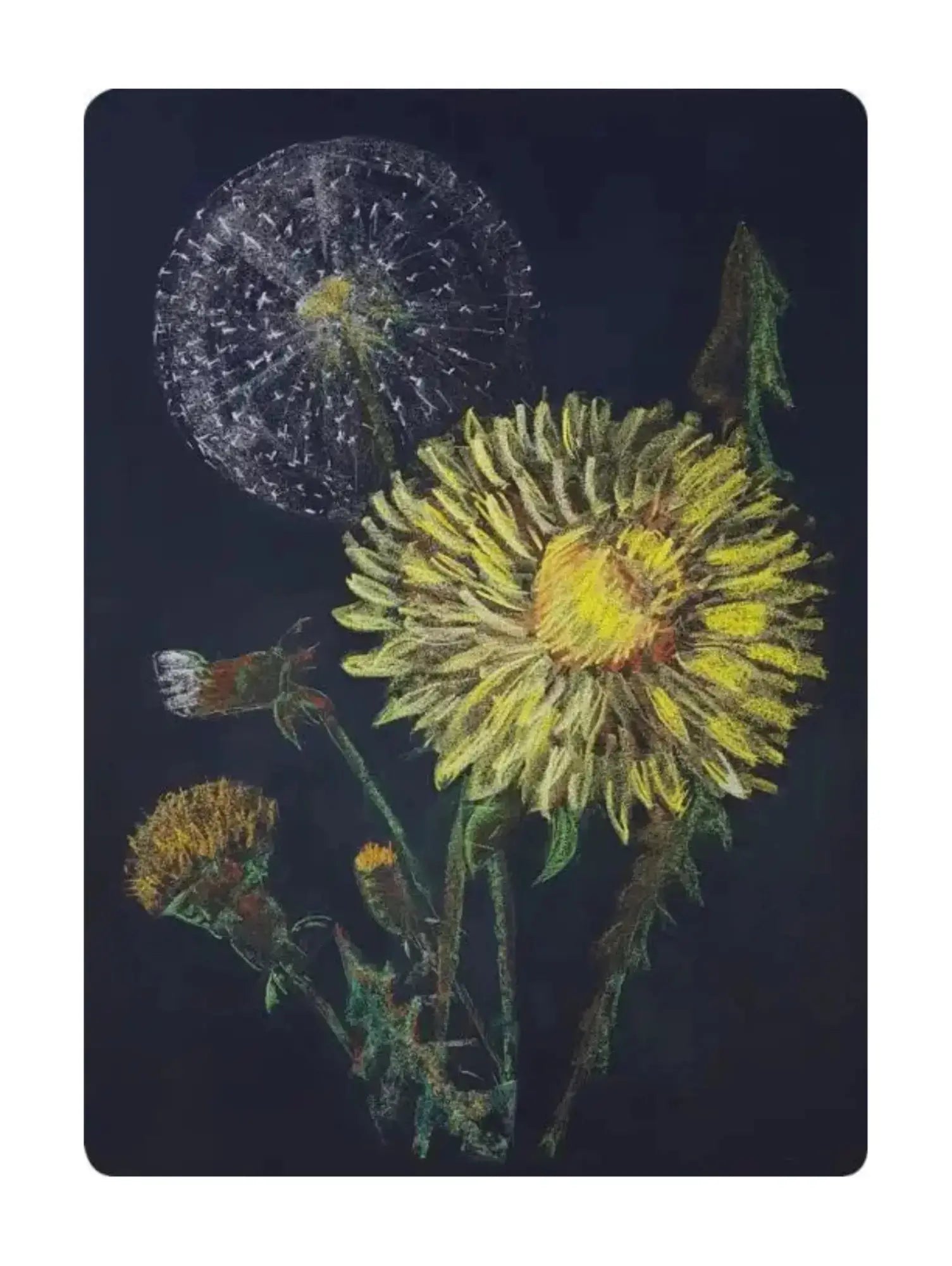 Illustration of dandelions on a dark background