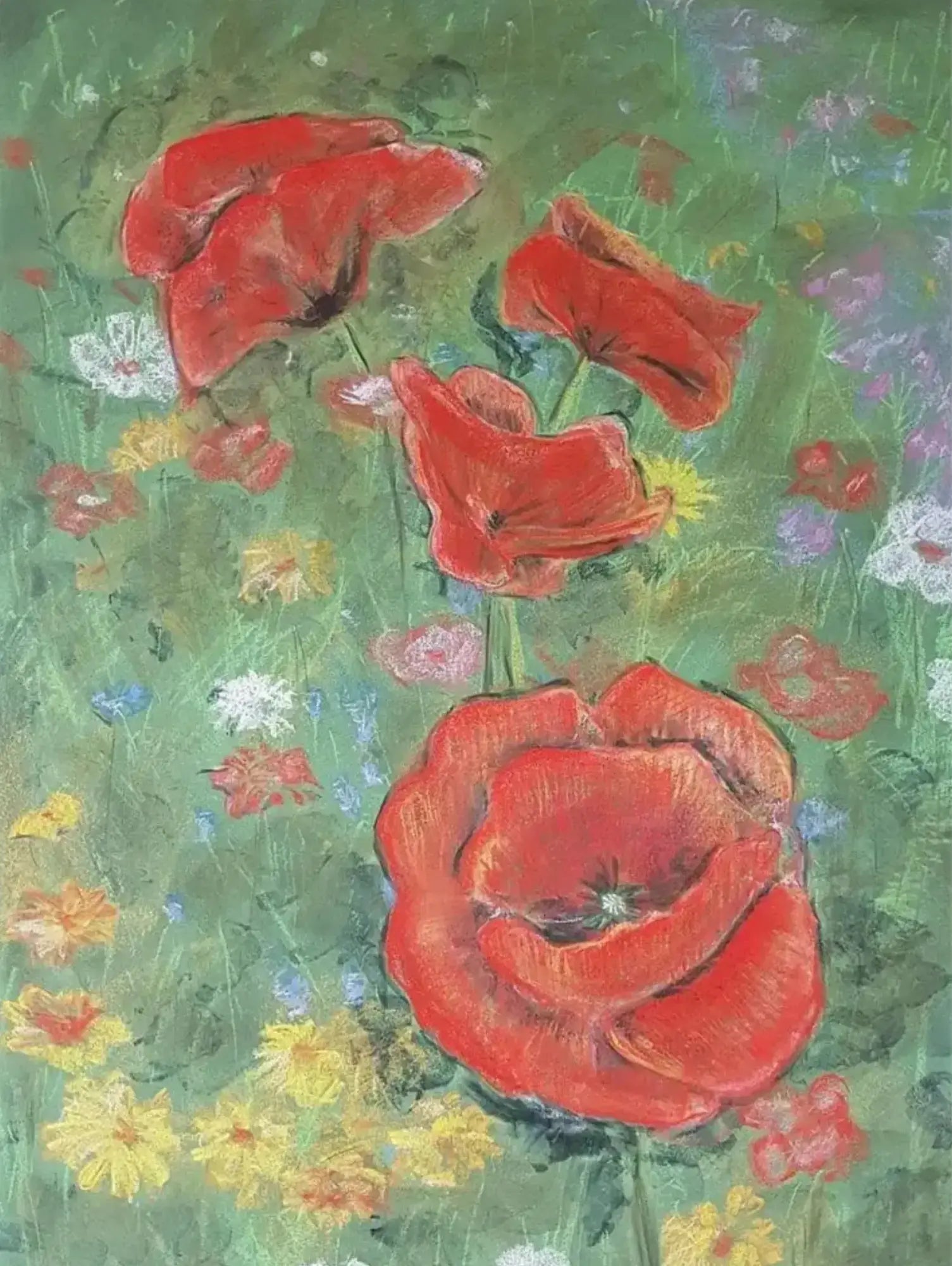 Four Poppies on a field of wildflowers in the back