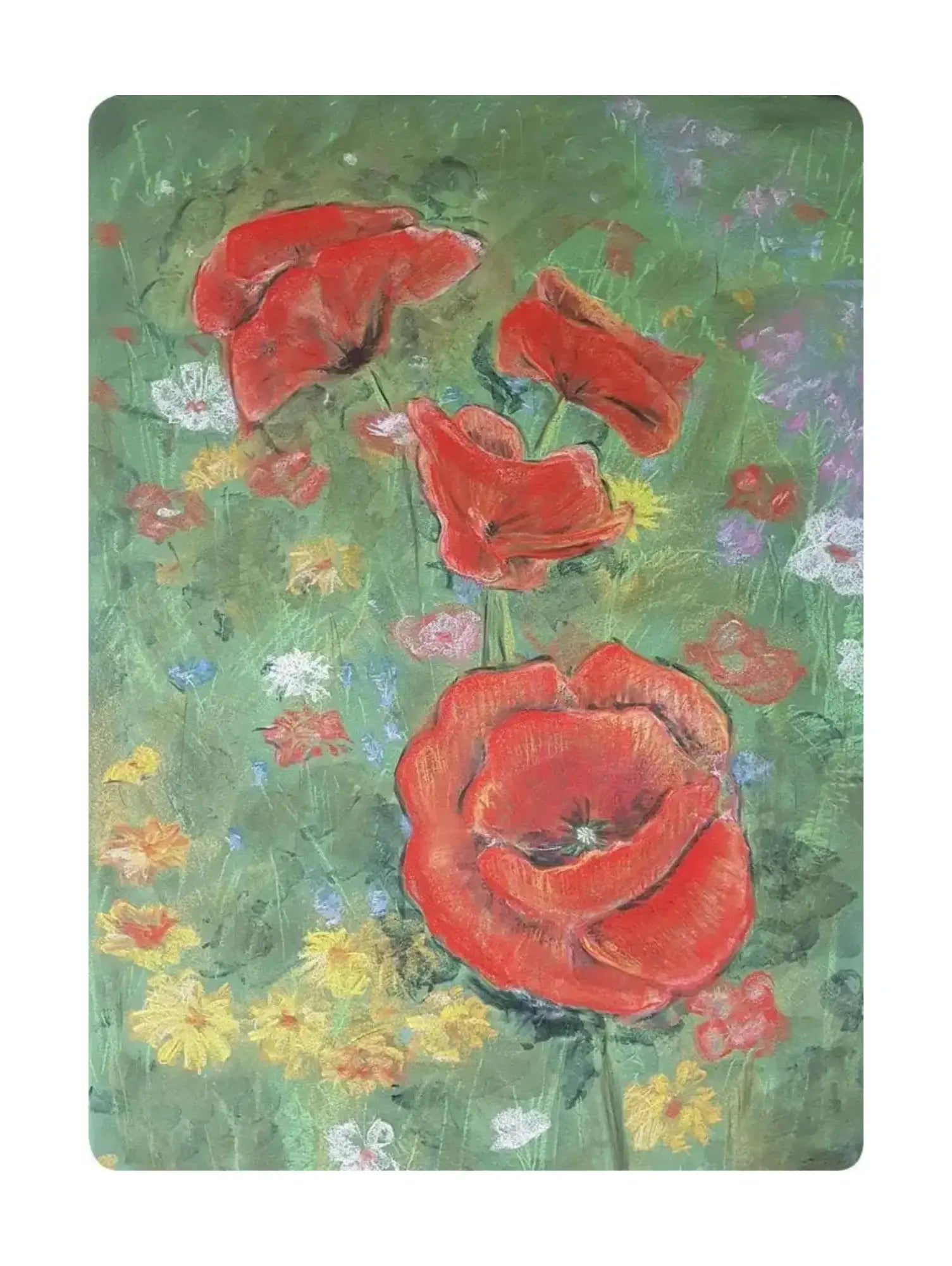Four Poppies with a background of a field of wildflowers Postcard