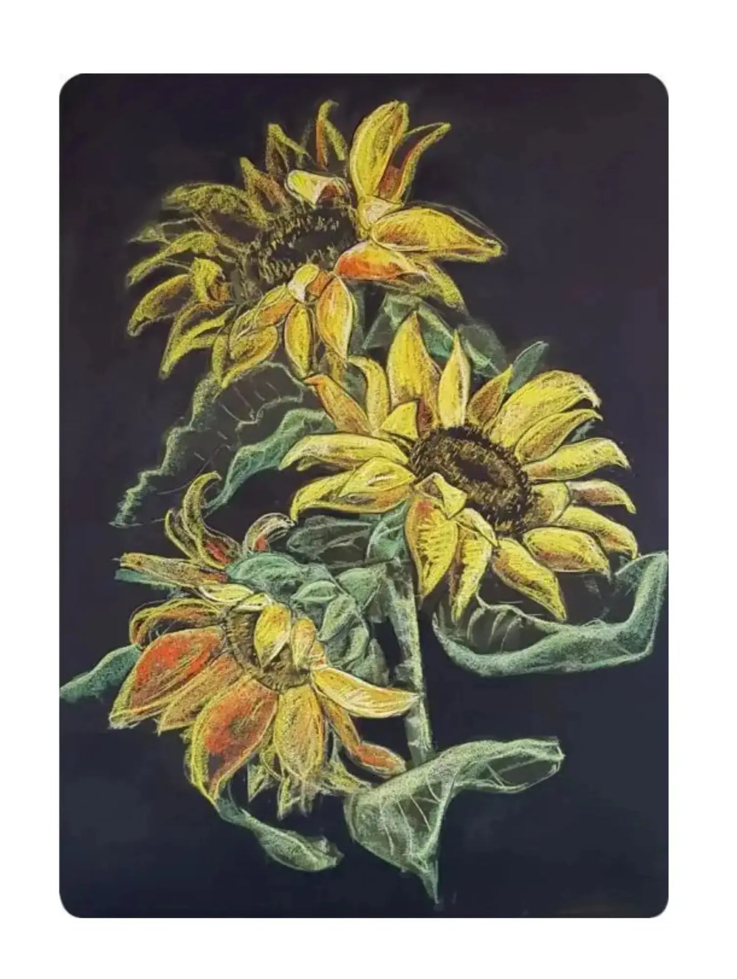 Waldorf Postcard of three yellow sunflowers on a chalkboard background