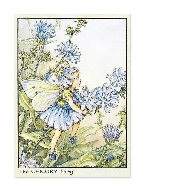 Chicory Flower Fairy - Cicely Mary Barker - Alder & Alouette