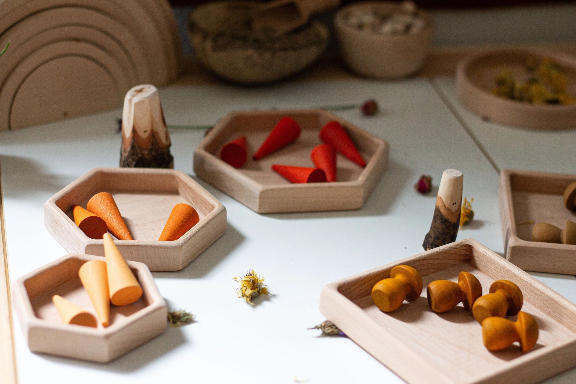Natural Wooden Sorting Tray Set | Hexagon - Alder & Alouette