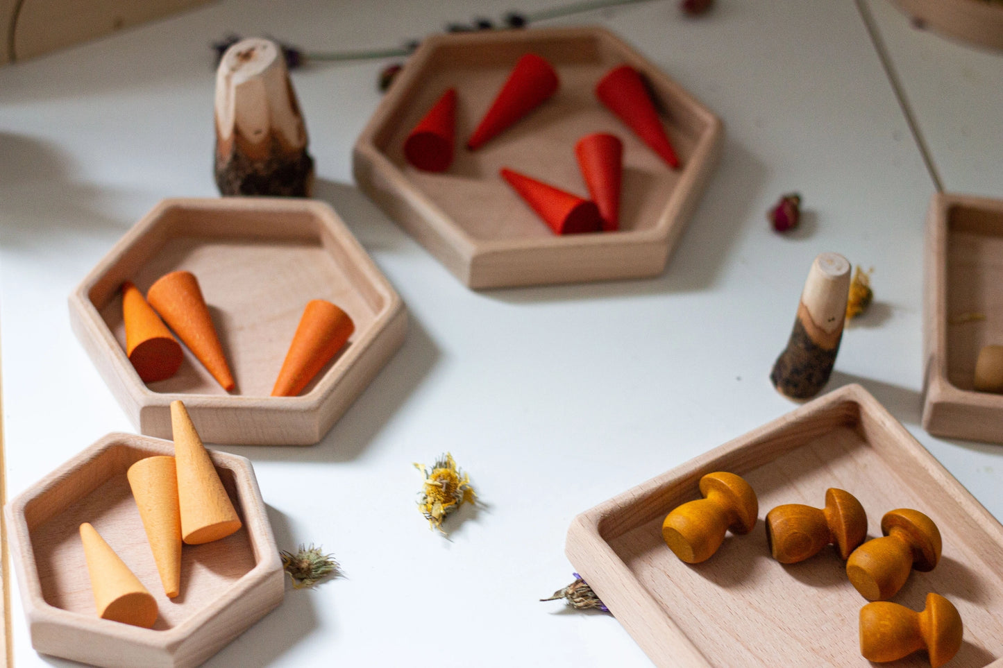 Natural Wooden Sorting Tray Set | Hexagon - Alder & Alouette