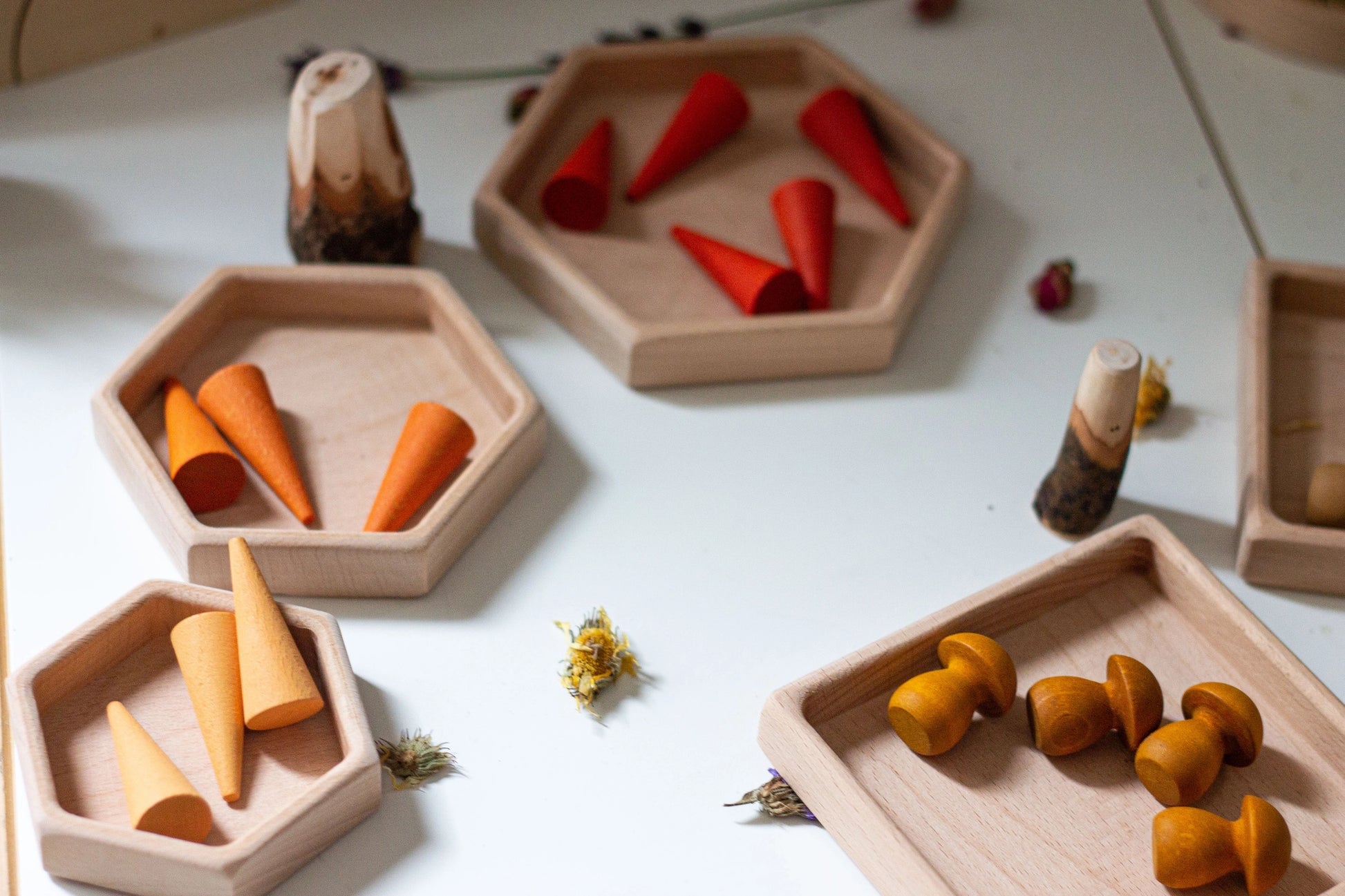 Natural Wooden Sorting Tray Set | Hexagon - Alder & Alouette