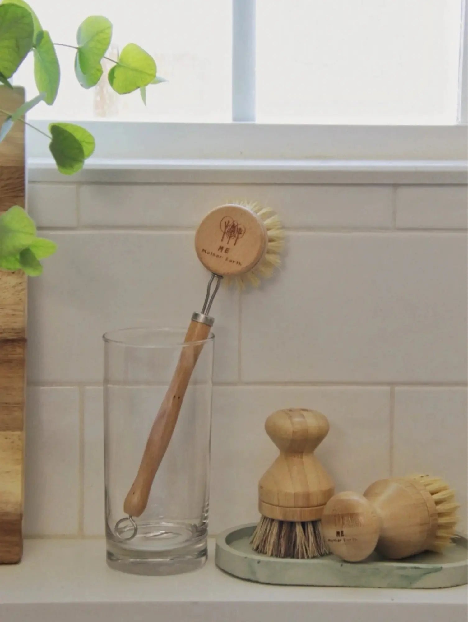 Set of wooden cleaning brushes on a kitchen counter with a glass and plant in the background.