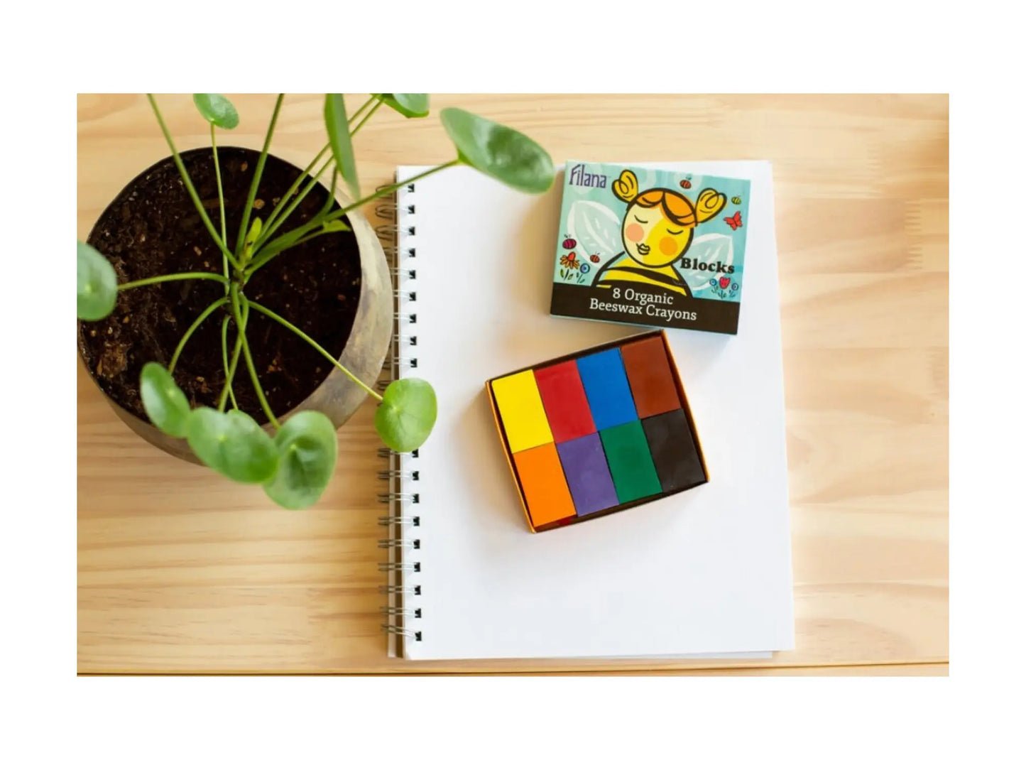 Colorful crayon set on a notebook with a plant in the background