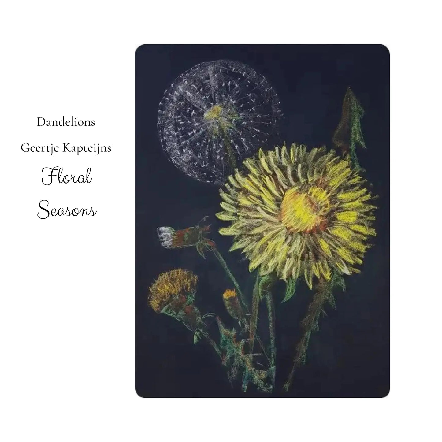 Illustration of dandelions on a dark background with text 'Dandelions Geertje Kapteijns Floral Seasons'.