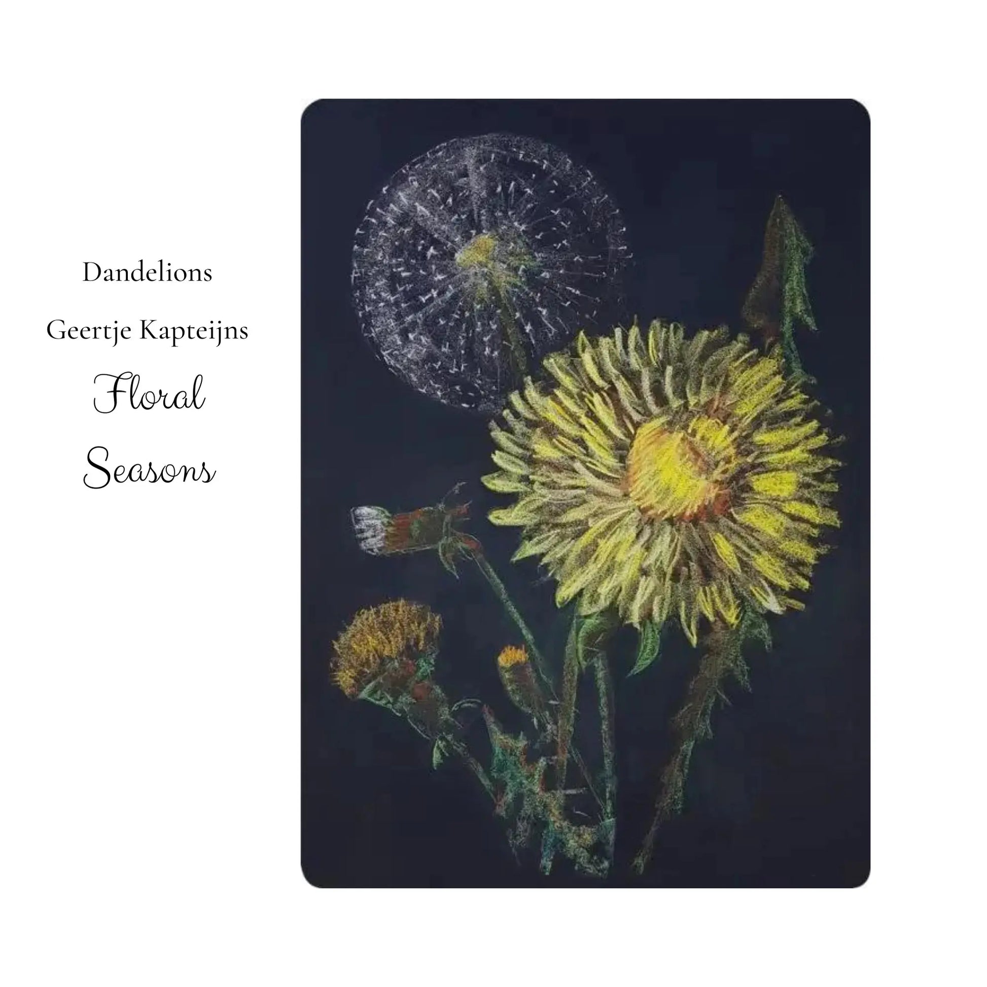 Illustration of dandelions on a dark background with text 'Dandelions Geertje Kapteijns Floral Seasons'.
