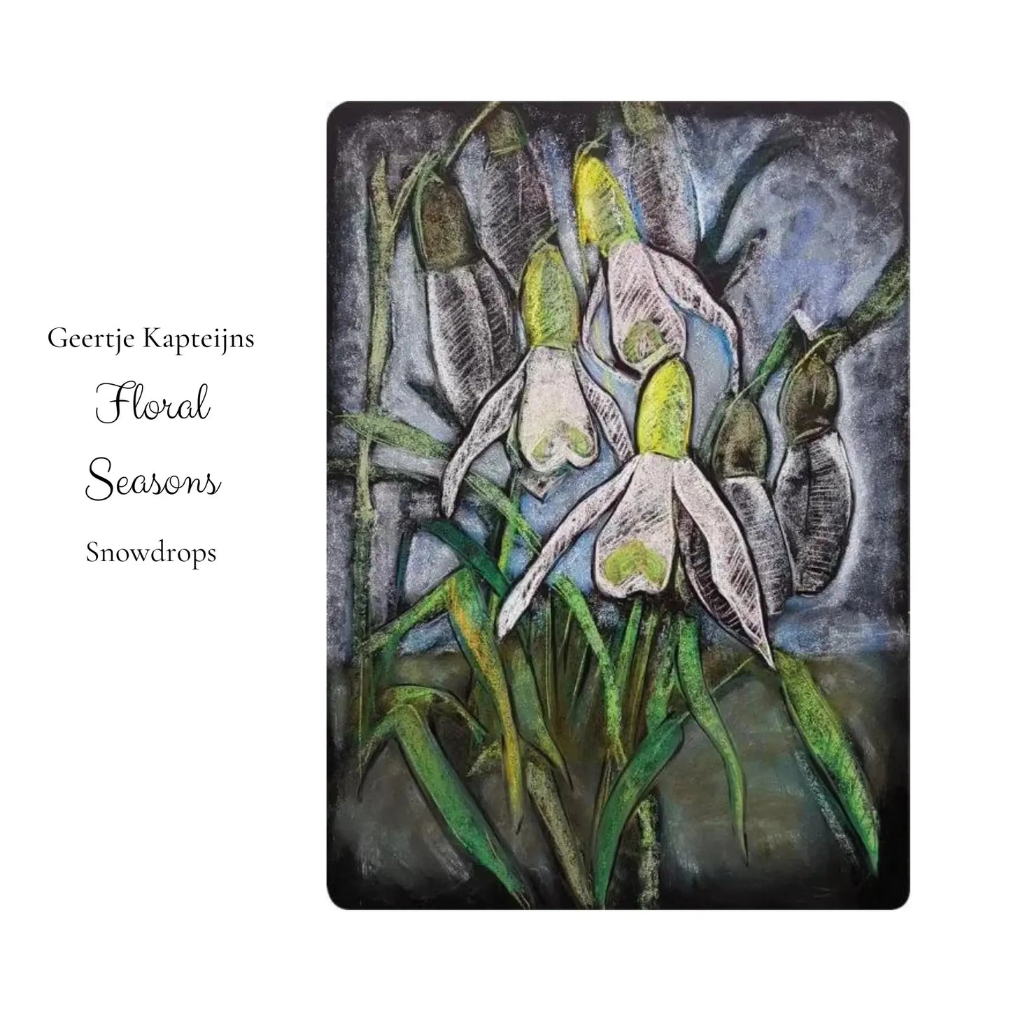 Artistic depiction of snowdrops with the artist's name 'Geertje Kapteijns' and 'Floral Seasons' on a white background.