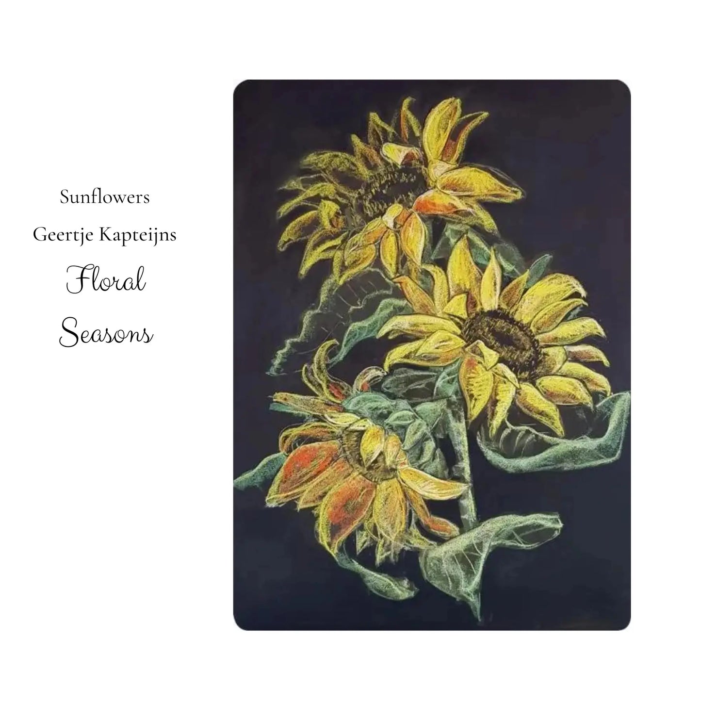 Artistic depiction of sunflowers on a dark background with 'Floral Seasons' text.