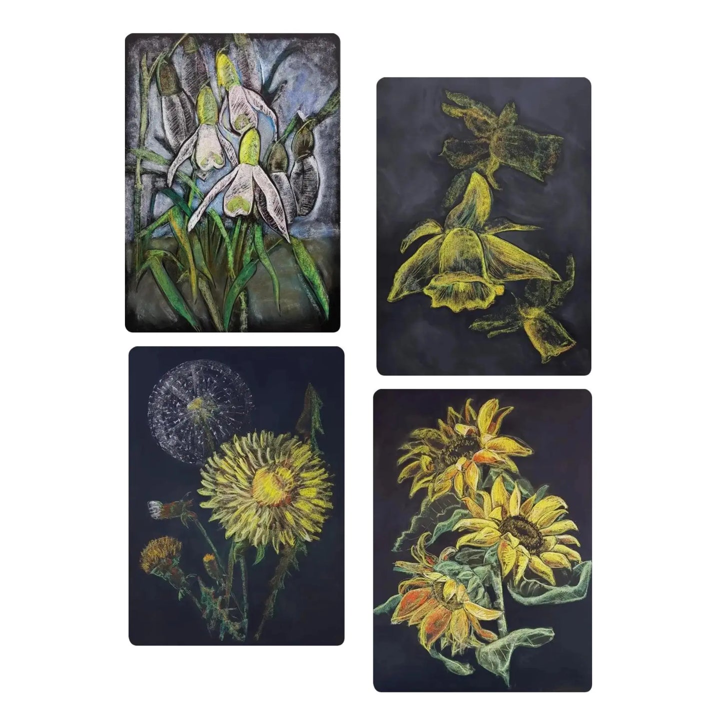 Set of four floral illustrations on black backgrounds