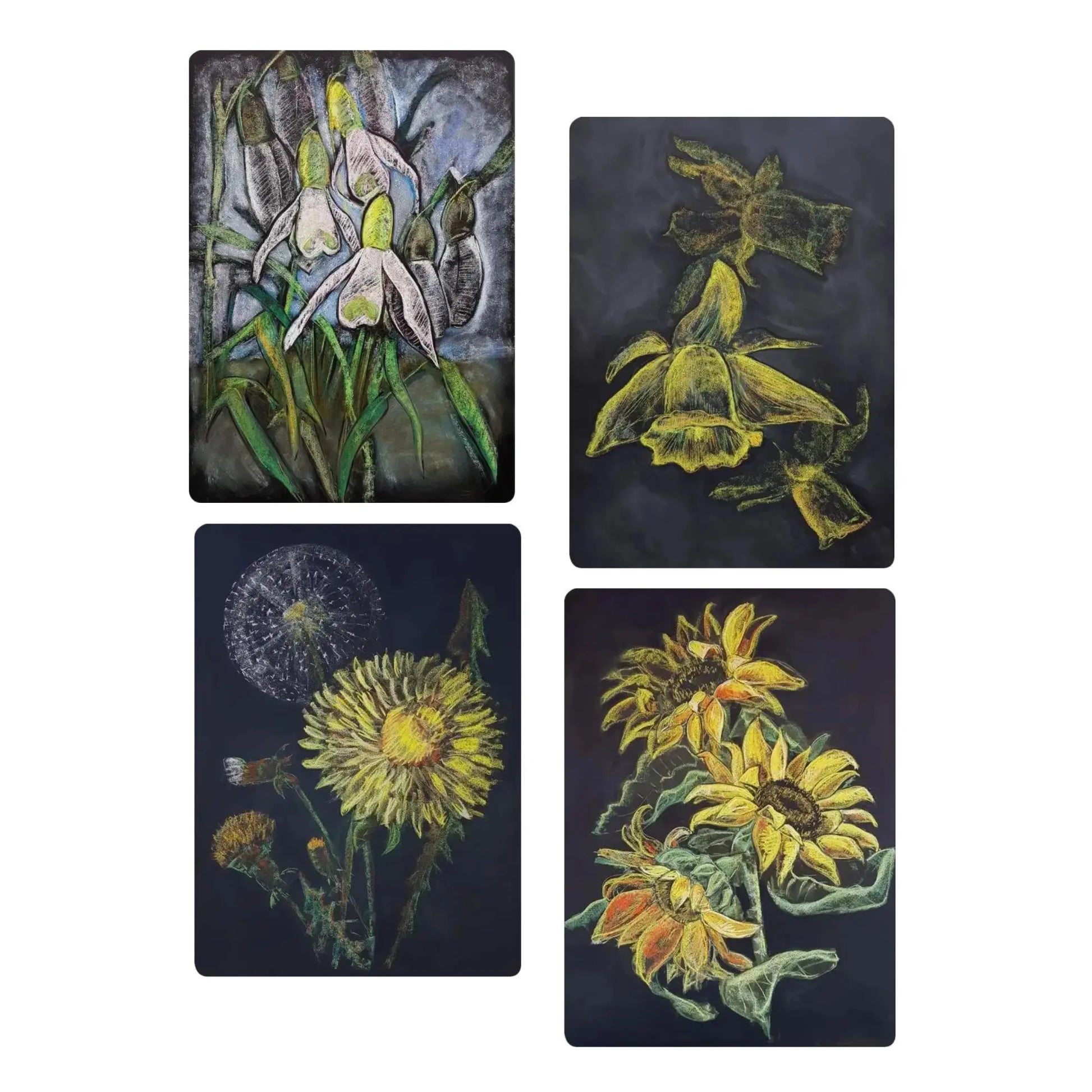 Set of four floral illustrations on black backgrounds
