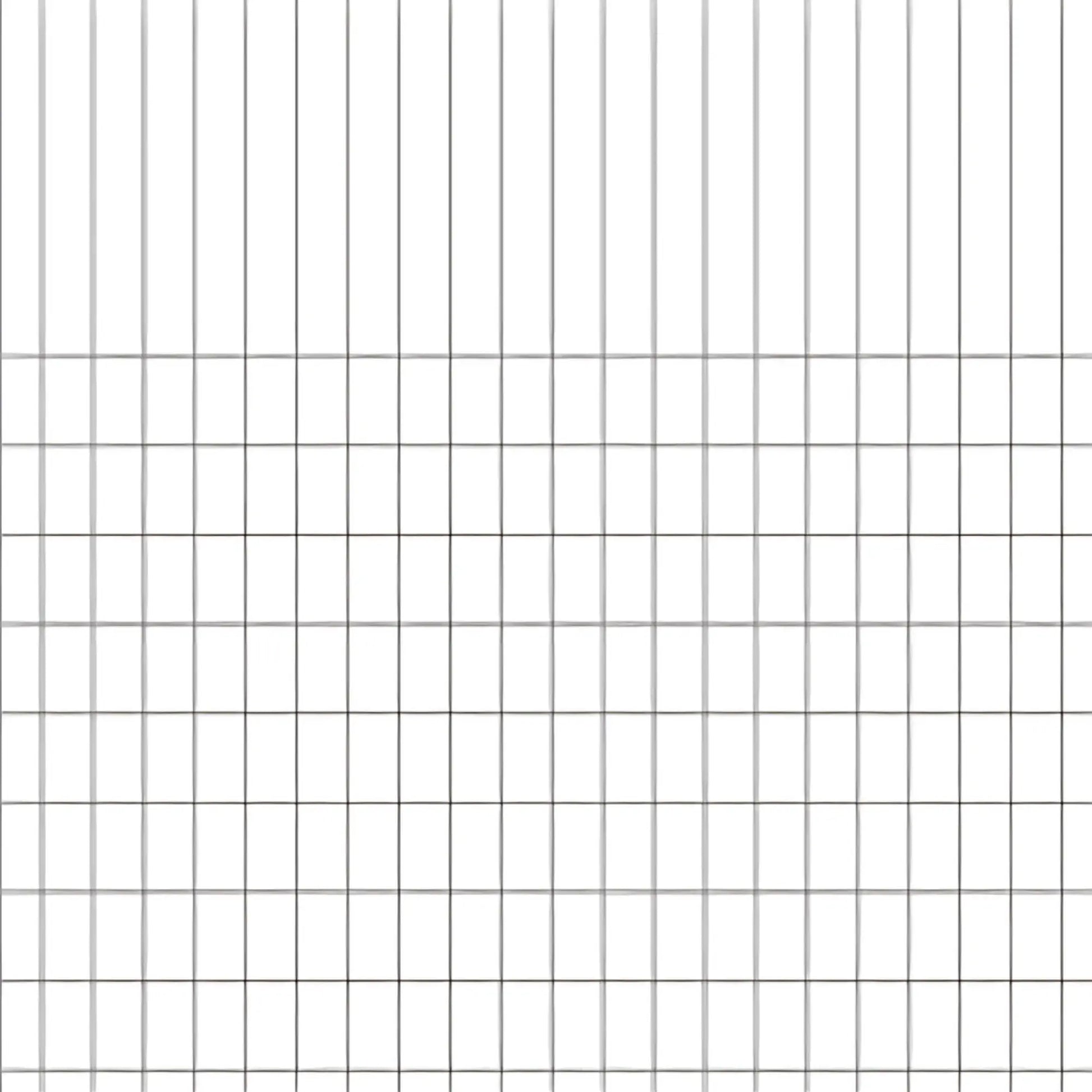 Woodless Graph Paper Accounting Style