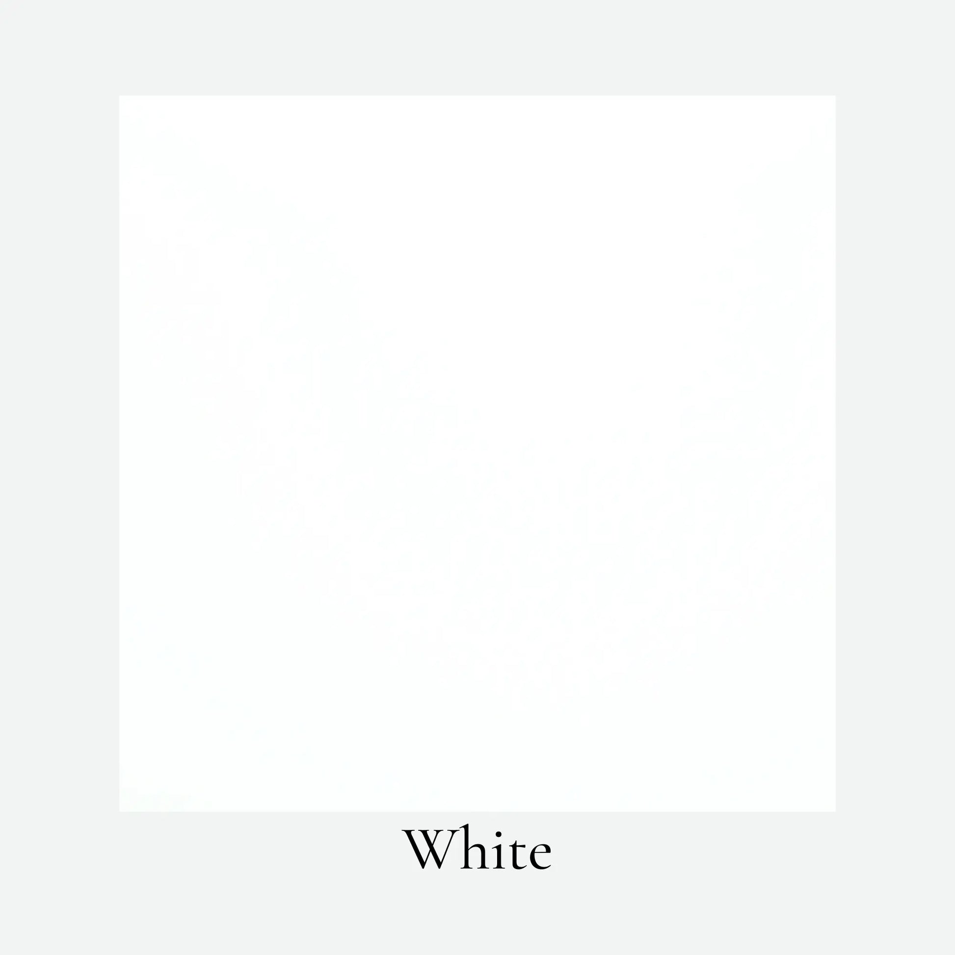 Vellum Lantern Paper – Translucent & Strong | Alder & Alouette