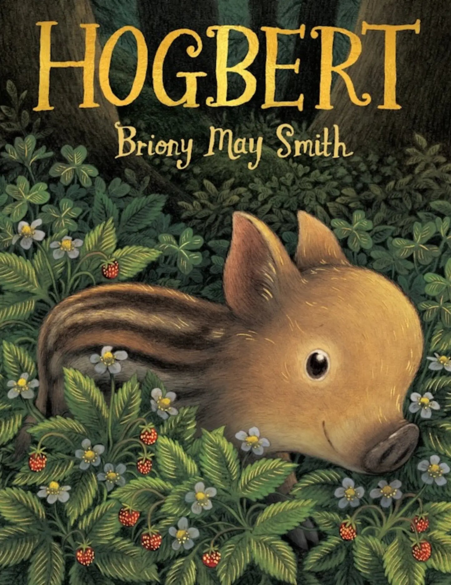 Book cover of 'Hogbert' by Briony May Smith with a illustration of a creature among plants and flowers.