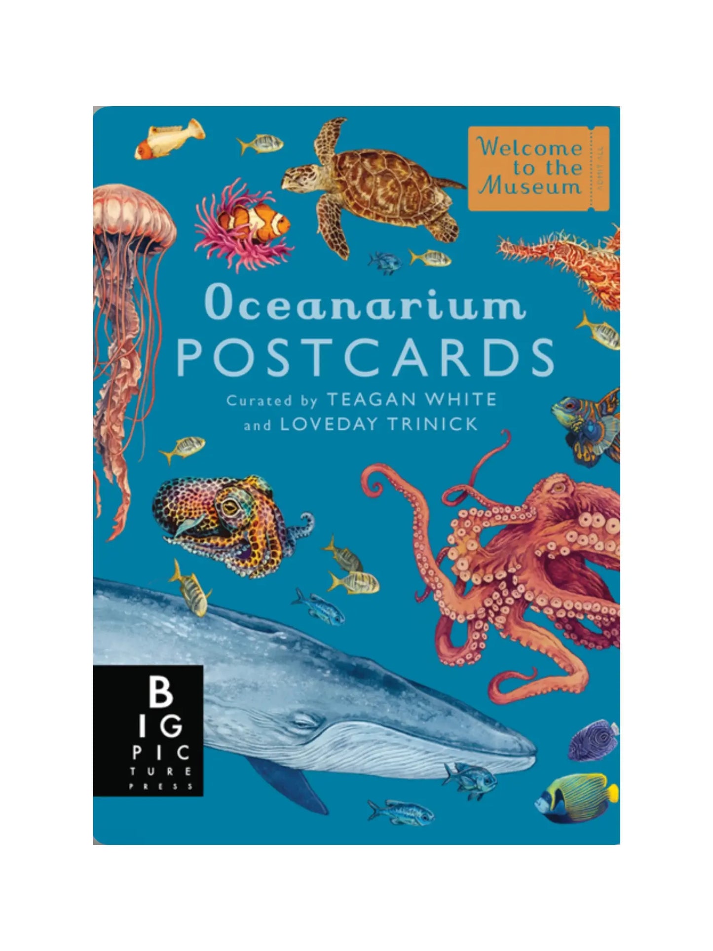 Oceanarium - Welcome to the Museum - Alder & Alouette